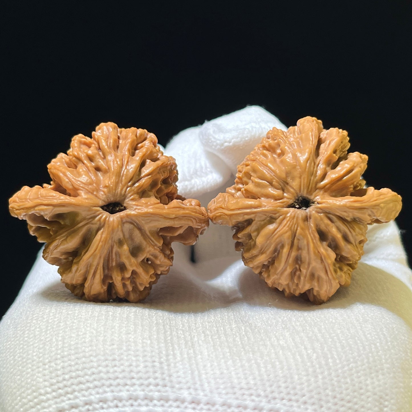 "Wheat Ear Tiger Head" Maisui Hutou Wenwan Walnuts (Pair) | 36.0mm x 39.0mm | Stock ID: MSHT-1107