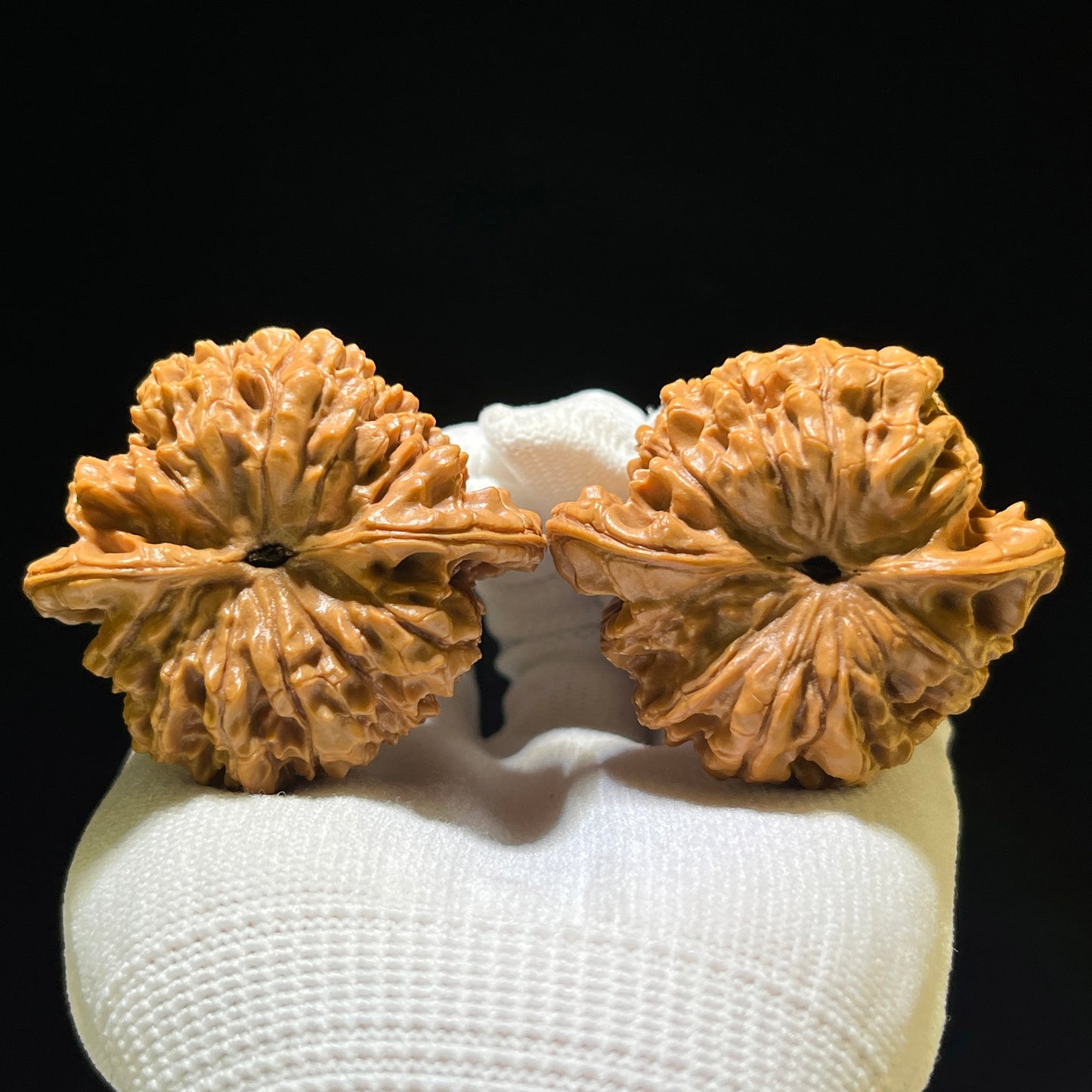 The Illustrious "Wang Yong Big Official Hat" Wang Yong Da Guanmao Premium Pair | 49.0mm x 44.0mm | DGM-1106
