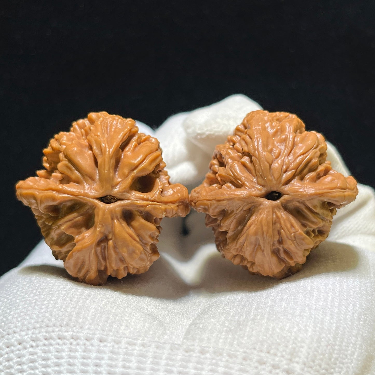 "Wheat Ear Tiger Head Pocket Size" Maisui Hutou Wenwan Walnuts Pair | 33.0mm x 33.0mm | MSHT-1105