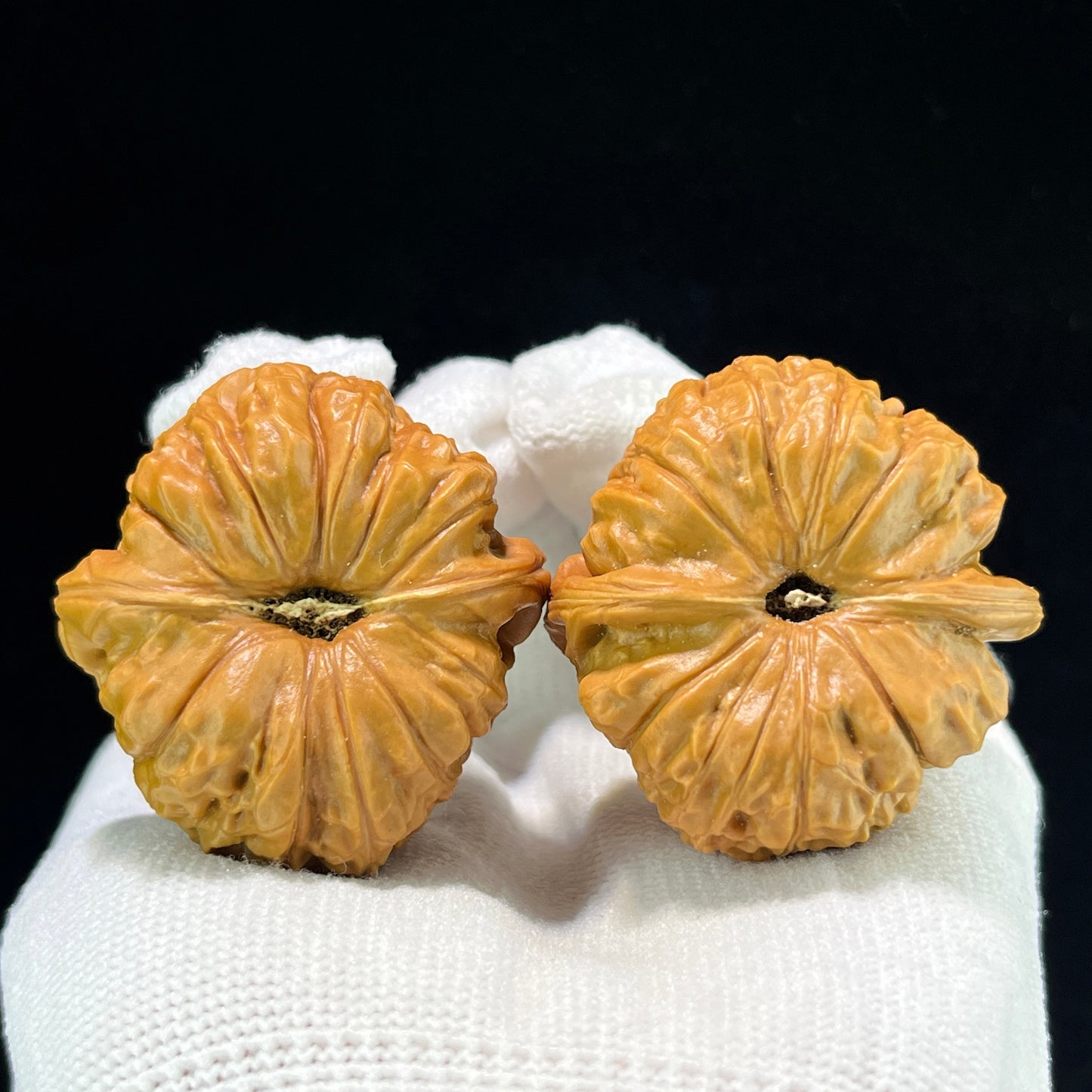 "Pumpkin Block" Nanguadun Wenwan Walnuts Pair | 39.0mm x 40.0mm | NGD-1005