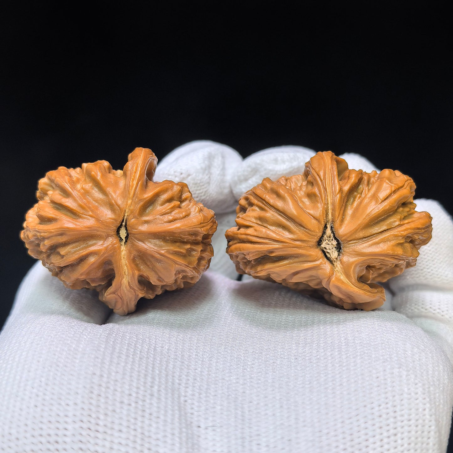 "White Lion Half-Wall" Baishizi Banbi Wenwan Walnuts Pair | 35.0mm x 42.0mm | BSJBB-C237E