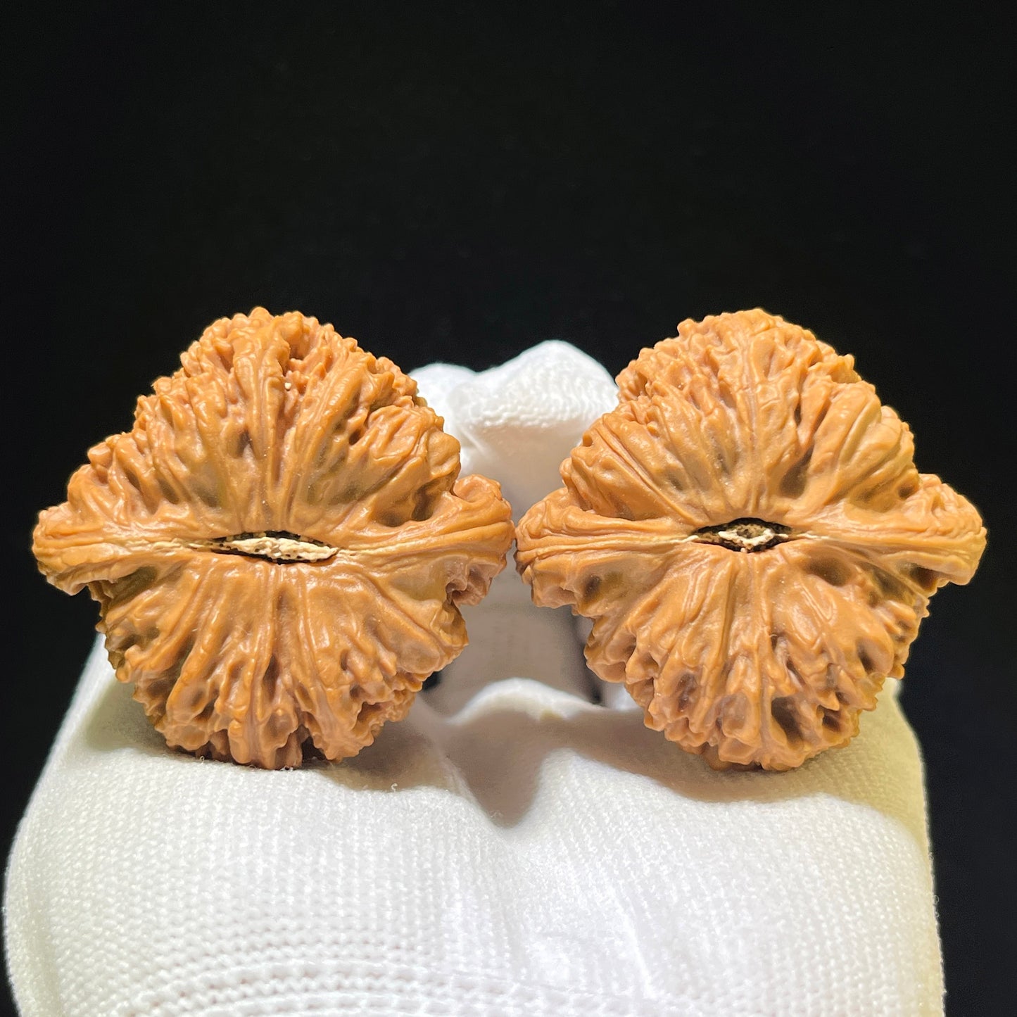 "Nanjiangshi" Nanjiangshi Wenwan Walnuts (Pair) | 43.0mm x 43.0mm | Stock ID: NJS-1107