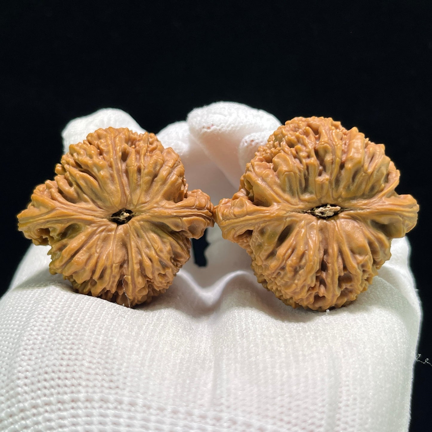 The "Nanjiang Stone" (Nan Jiang Shi) Ergonomic Giant Pair | 40.0mm x 38.0mm | NJS-903