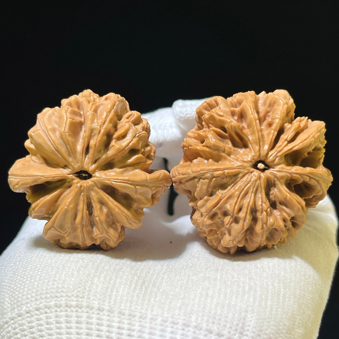 Bao Xue Lion Head (Blizzard Pattern) Scholar Walnuts Pair | 41.0mm x 41.0mm | Stock ID: BX-1102