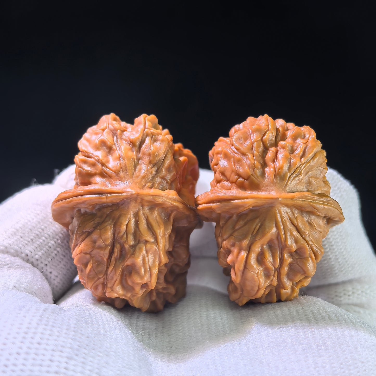 The Rare "Xinglong Dice" Half-Wall (Ban Bi) Ergonomic Pair | 29.0mm x 38.0mm | XLBB-1201E