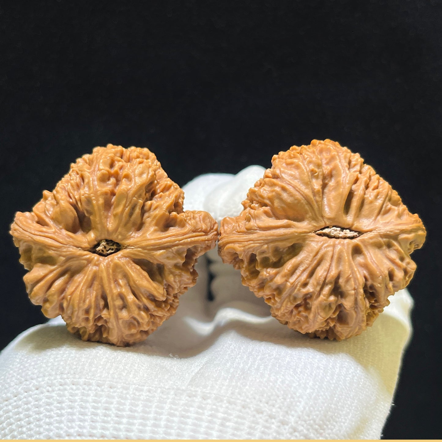 The Renowned "Red-Shell Nanjiang Stone" Hongke Nanjiangshi Heritage Pair | 40.0mm x 39.0mm | HPNJS-1101