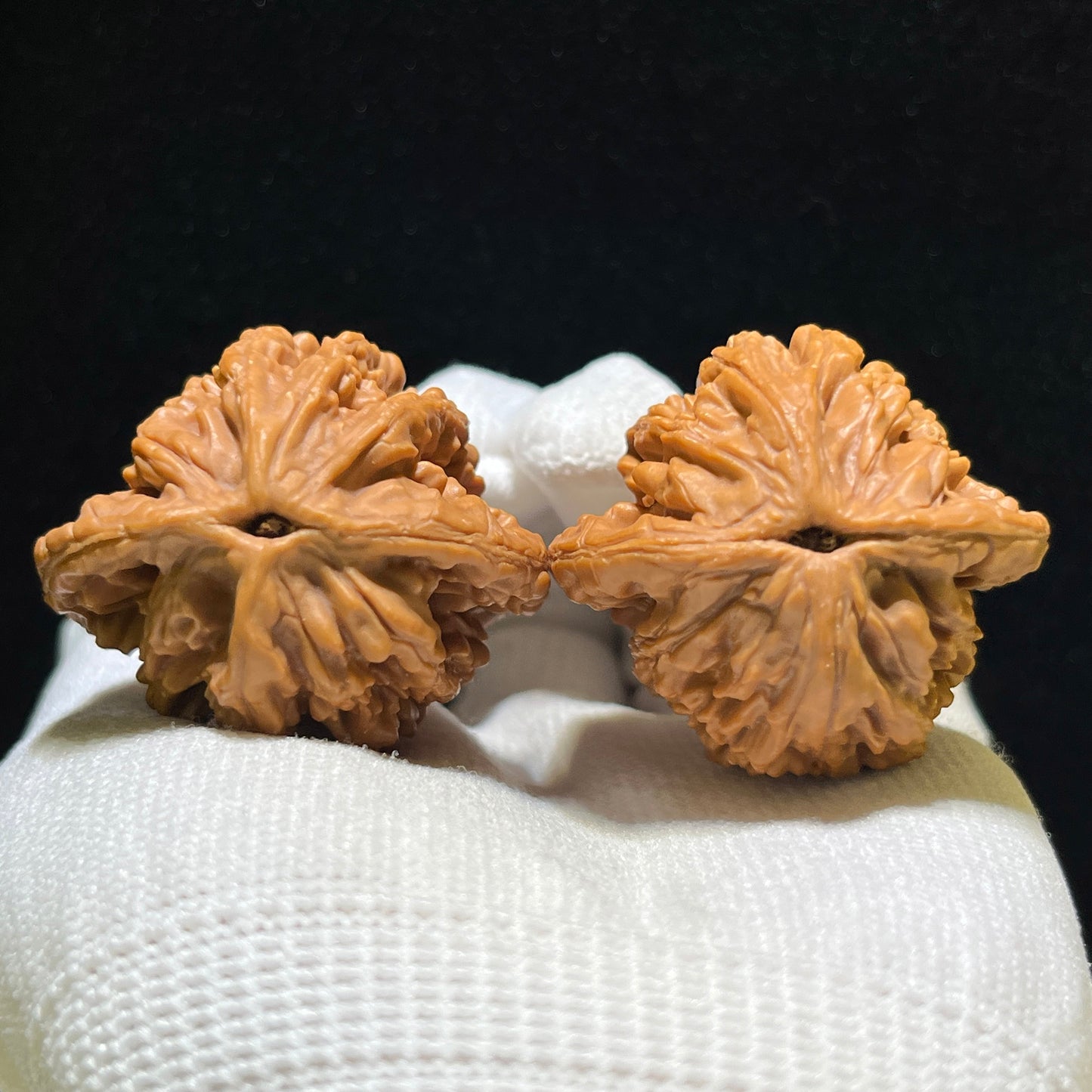 "Wheat Ear Tiger Head" Maisui Hutou Wenwan Walnuts (Pair) | 38.0mm x 34.0mm | Stock ID: MSHT-1108