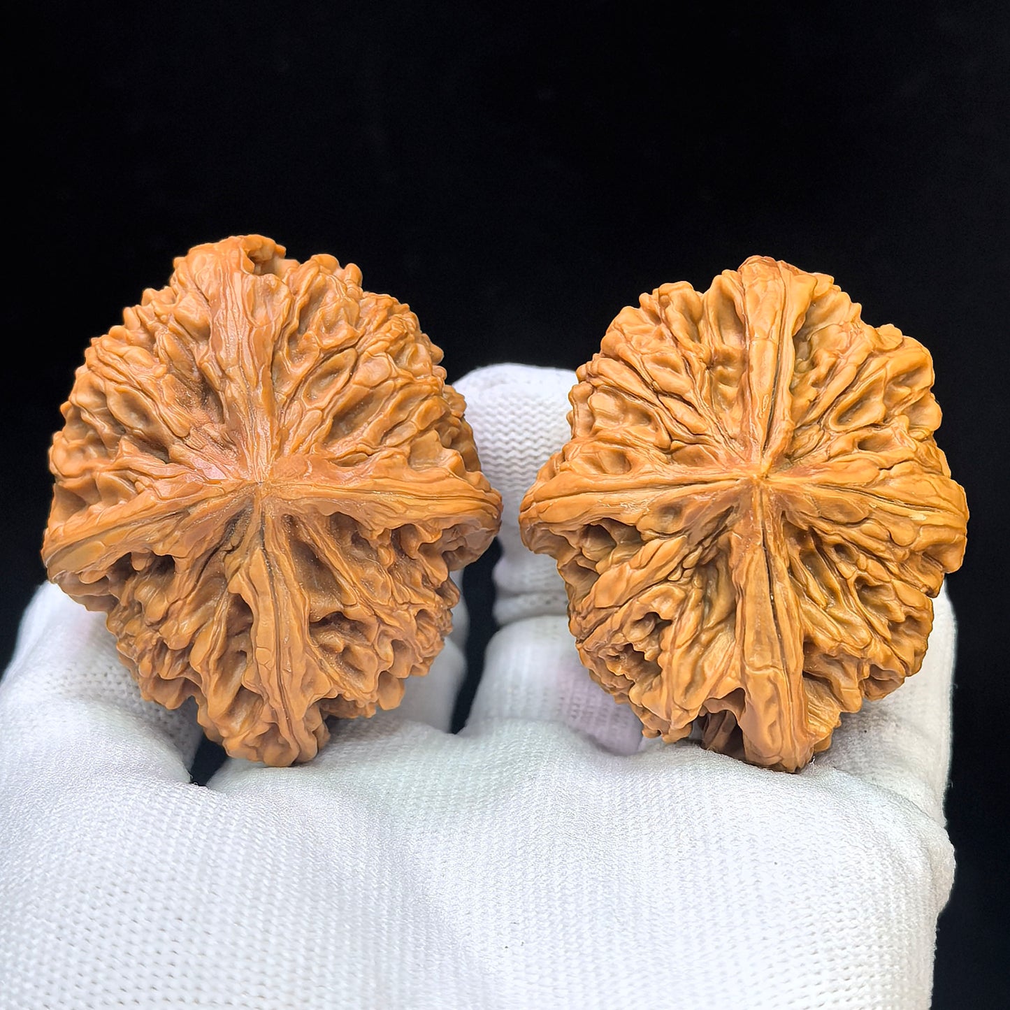 Four-Ribbed "Nine Dragons Sinew" (Jiulongjin Sileng) Scholar Walnuts Pair | 43.0mm x 52.0mm | Massive Deep-Belly Geometry | Collector Grade Masterpiece | Stock ID: JLJ4N-1001E