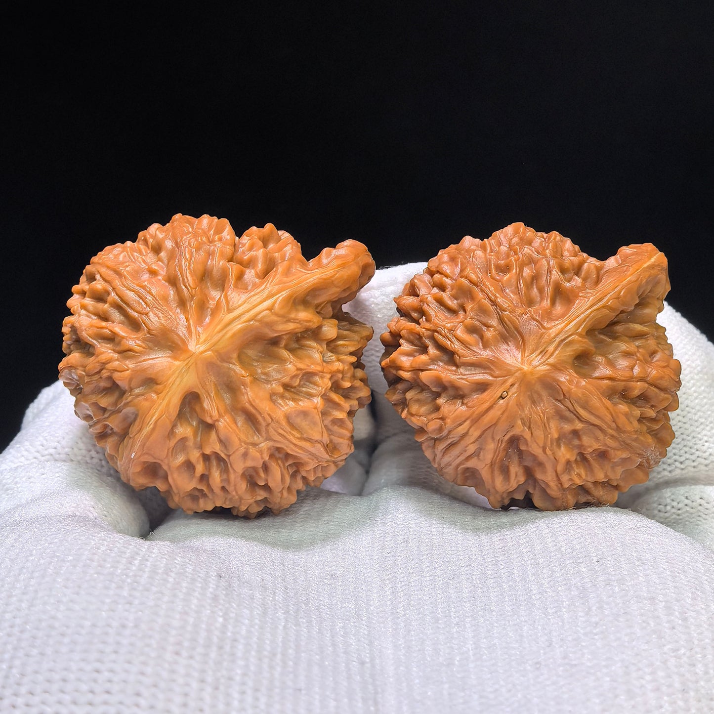 "Palace Lantern Butterfly Smooth-Sailing" (Gongdeng Hudie Yifan) Scholar Walnuts Pair | 39.0mm x 37.0mm | Singularities Grade Masterpiece | Stock ID: GDHDYF-CG205E