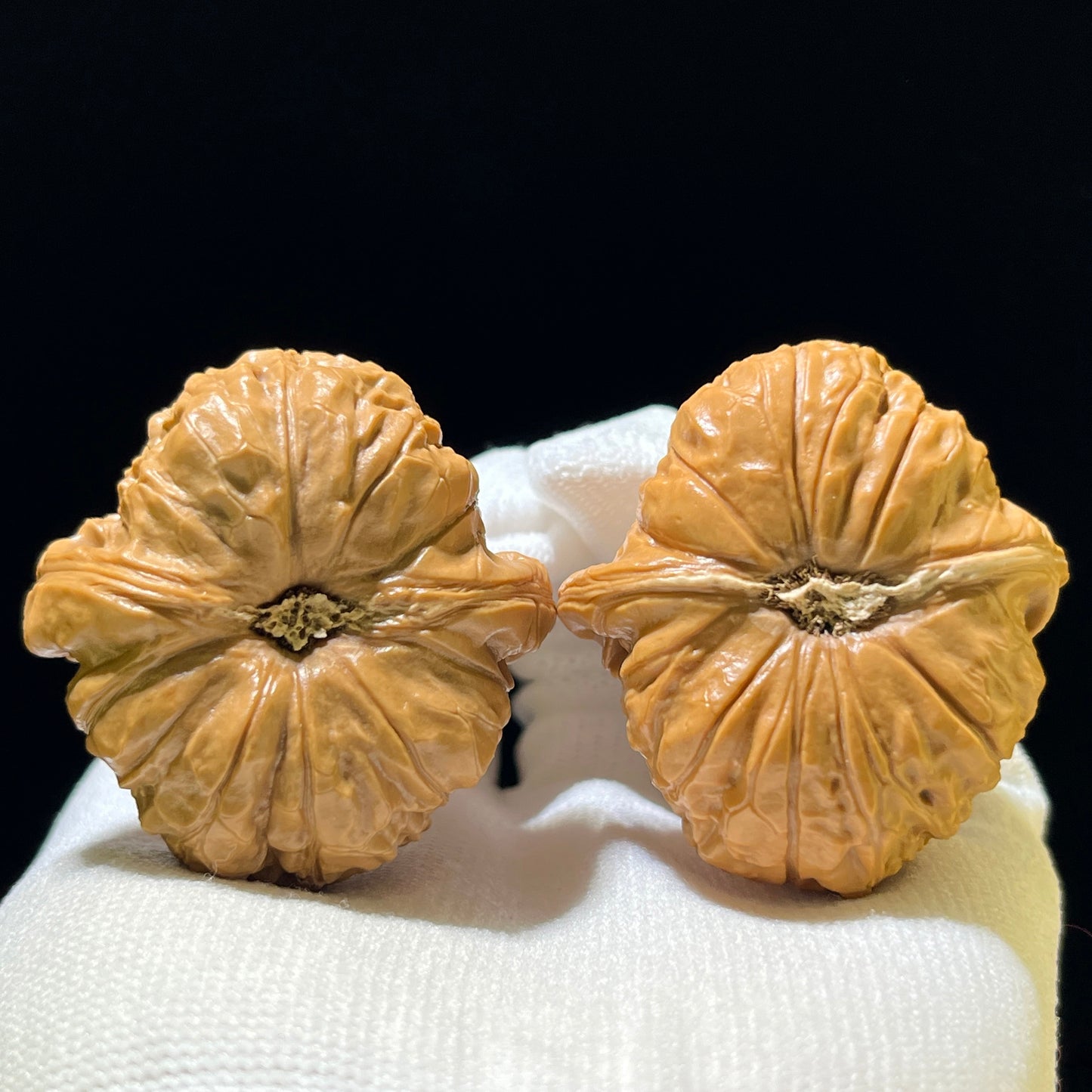 "Pumpkin Block" Nanguadun Wenwan Walnuts Pair | 42.0mm x 44.0mm | NGD-1102
