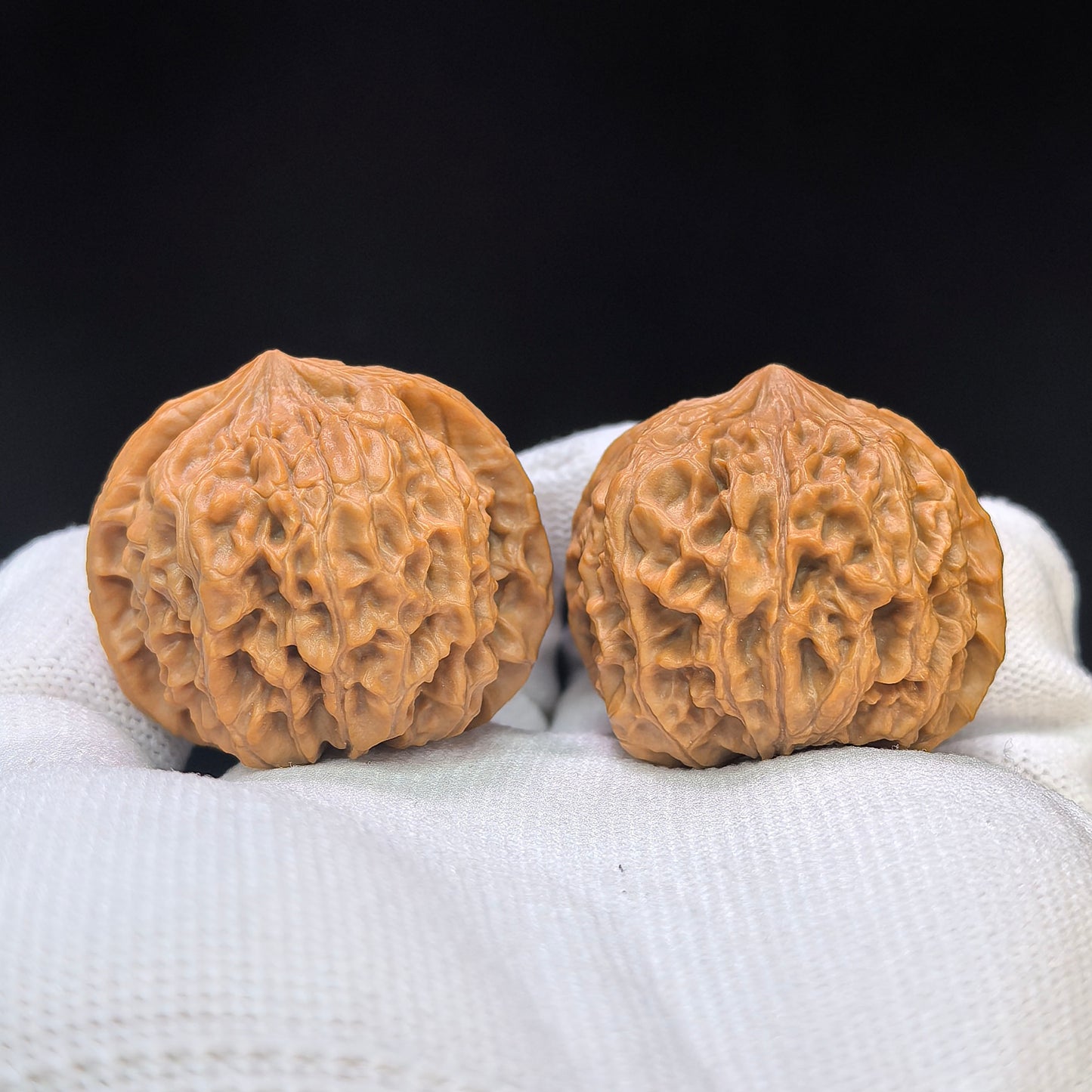 "Star Lotus Lionhead" (Xing Lian Shi Tou) Scholar Walnuts Pair | 37.0mm x 35.0mm | Low-Profile Sacred Radiant Base | Collector Grade Masterpiece | Stock ID: WM-SY1B6