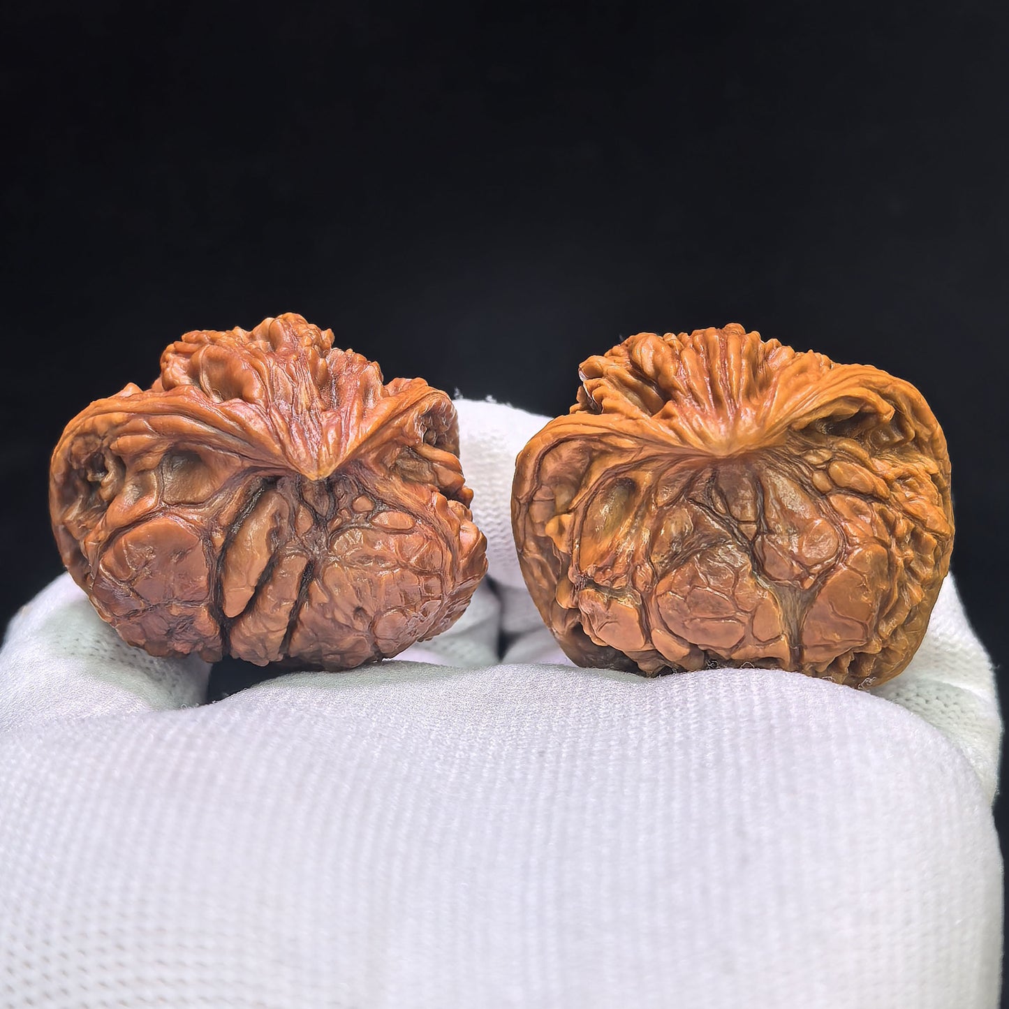 "The Serpent King & Queen" (Shewang Shehou) Scholar Walnuts Pair | 41.0mm x 35.0mm | Legendary Heritage Matching | Exclusive Collector Grade Masterpiece | Stock ID: SWSH-C01E