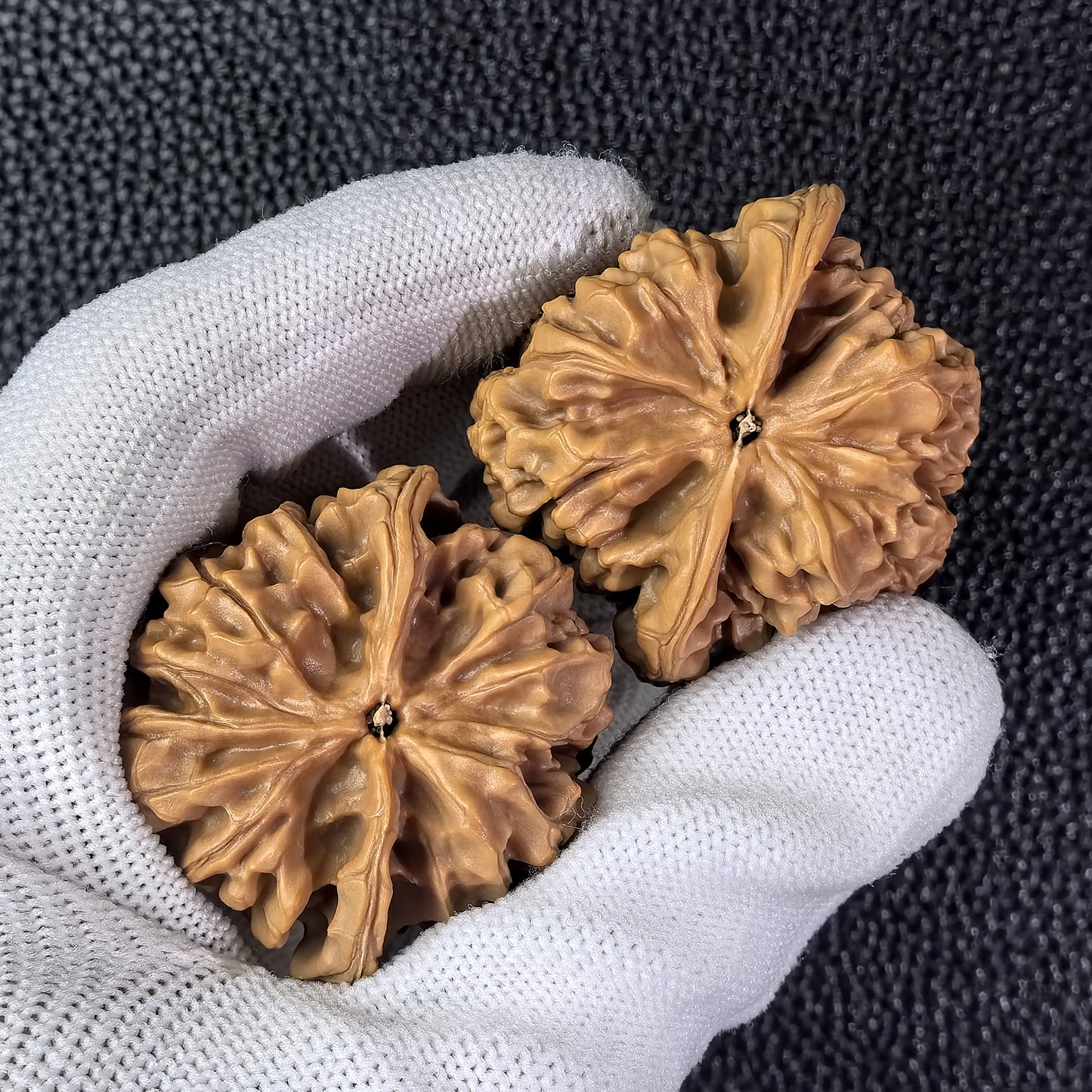 The "Hundred Longevity Lion Head" (Bai Shou Shi Zi Tou) Pair | 41.0mm x 38.0mm | BSSZT-03