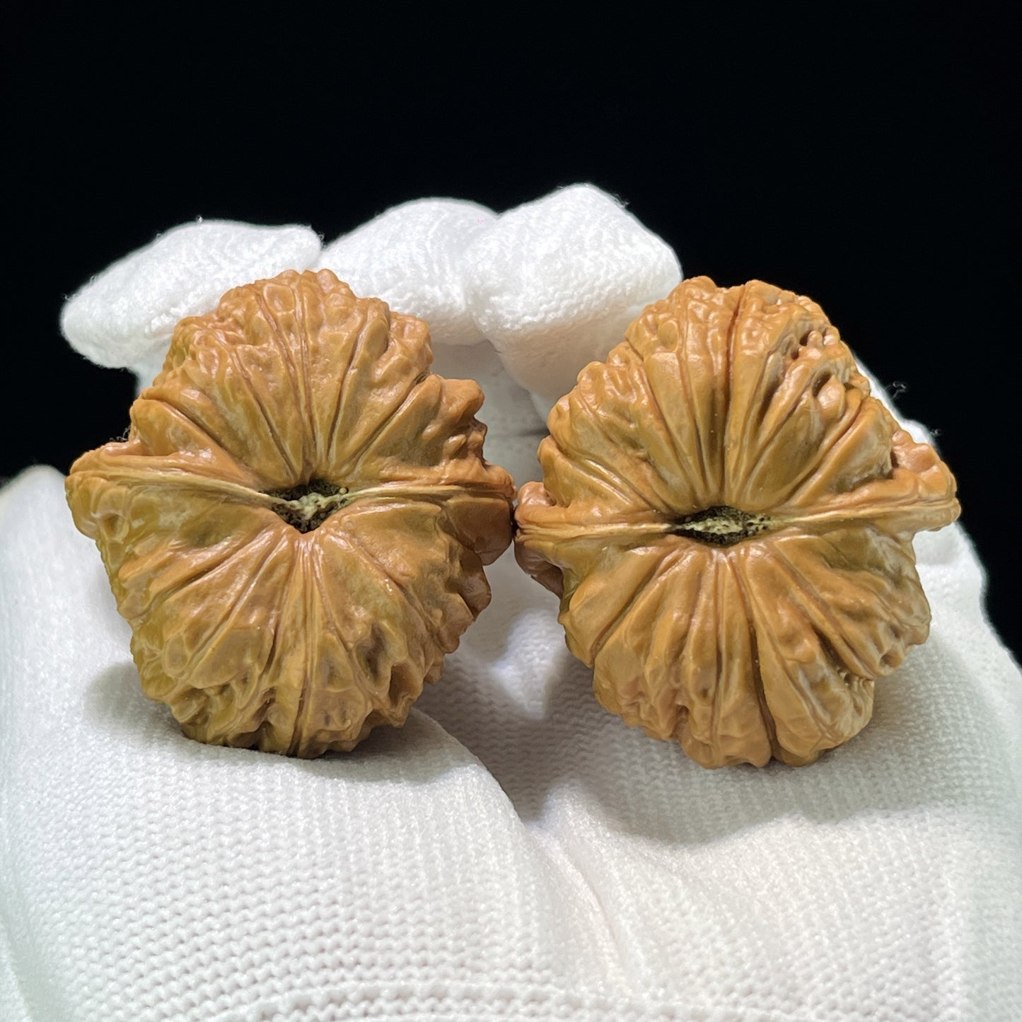 The "Squat Pumpkin" (Nan Gua Dun) Deep-Bellied EDC Pair | 37.0mm x 40.0mm | NGD-801