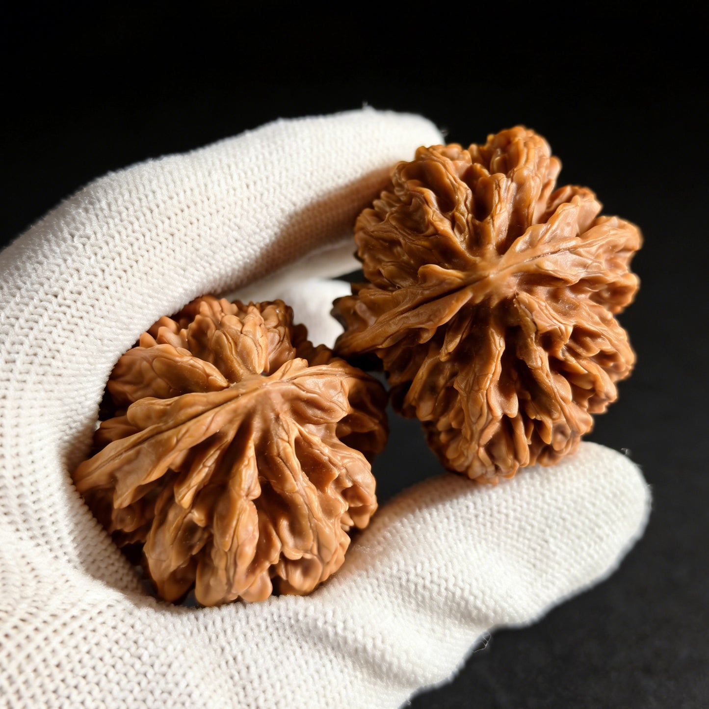 The "Champion's Crown" (Zhuang Yuan Guan) Pair | 43.0mm x 42.0mm | ZYG-01