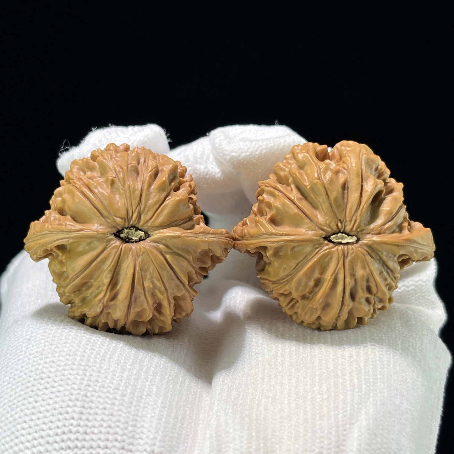 The "Millstone" (Mo Pan) Ergonomic Giant Pair | 40.0mm x 38.0mm | MP-804