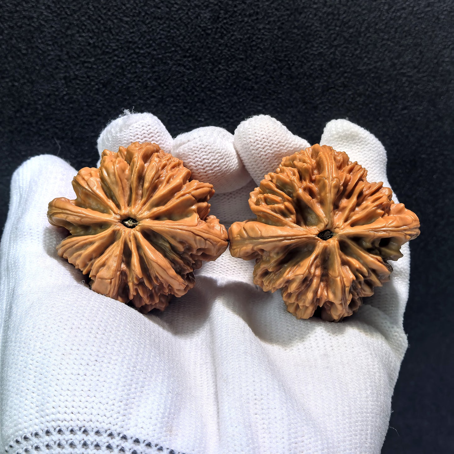 The "Blizzard" (Bao Xue) Pair | Boutique Grade | 44.0mm x 42.0mm | BX-401C