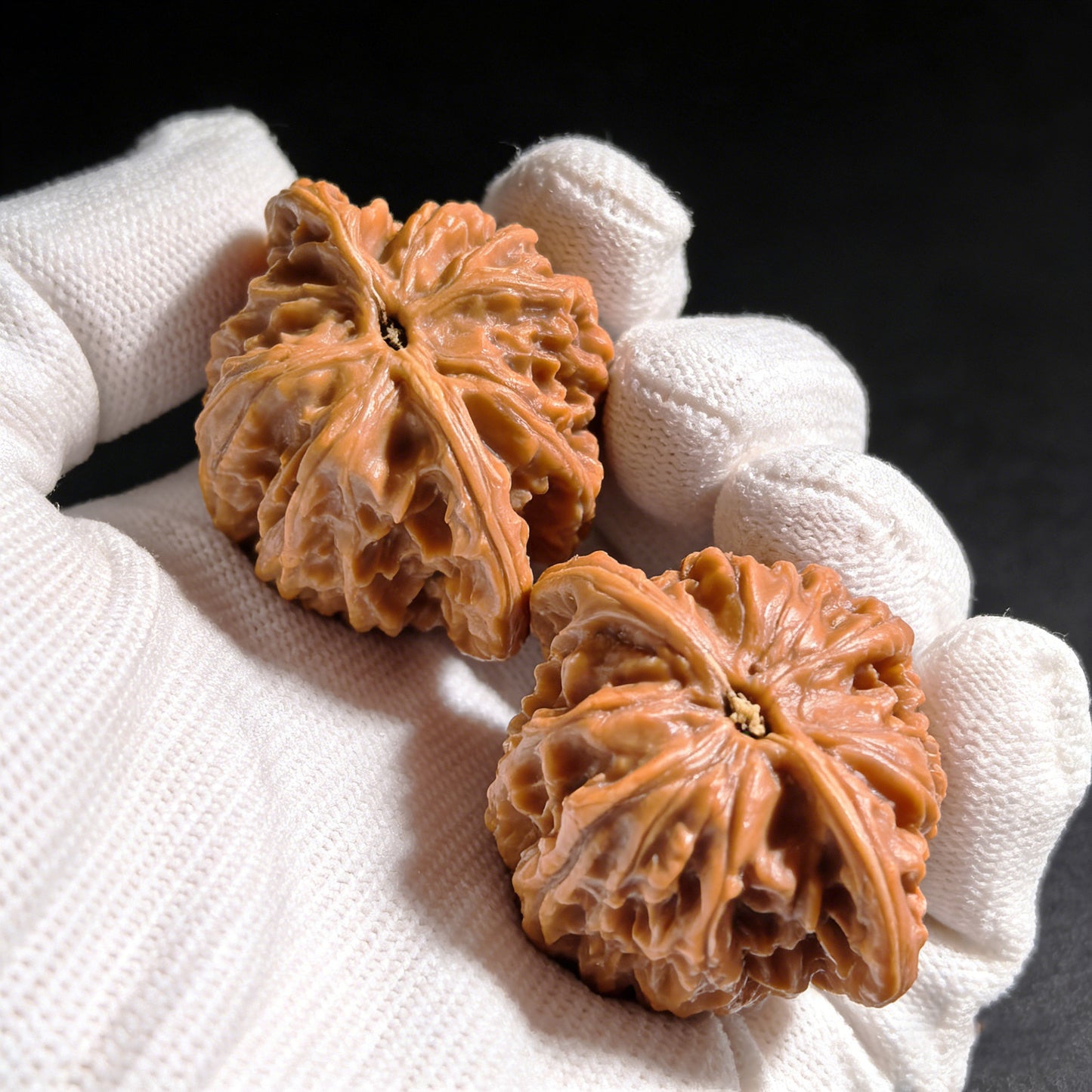 The "Coiled Dragon" (Pan Long Wen) Pair | 43.0mm x 34.0mm | PLW-02