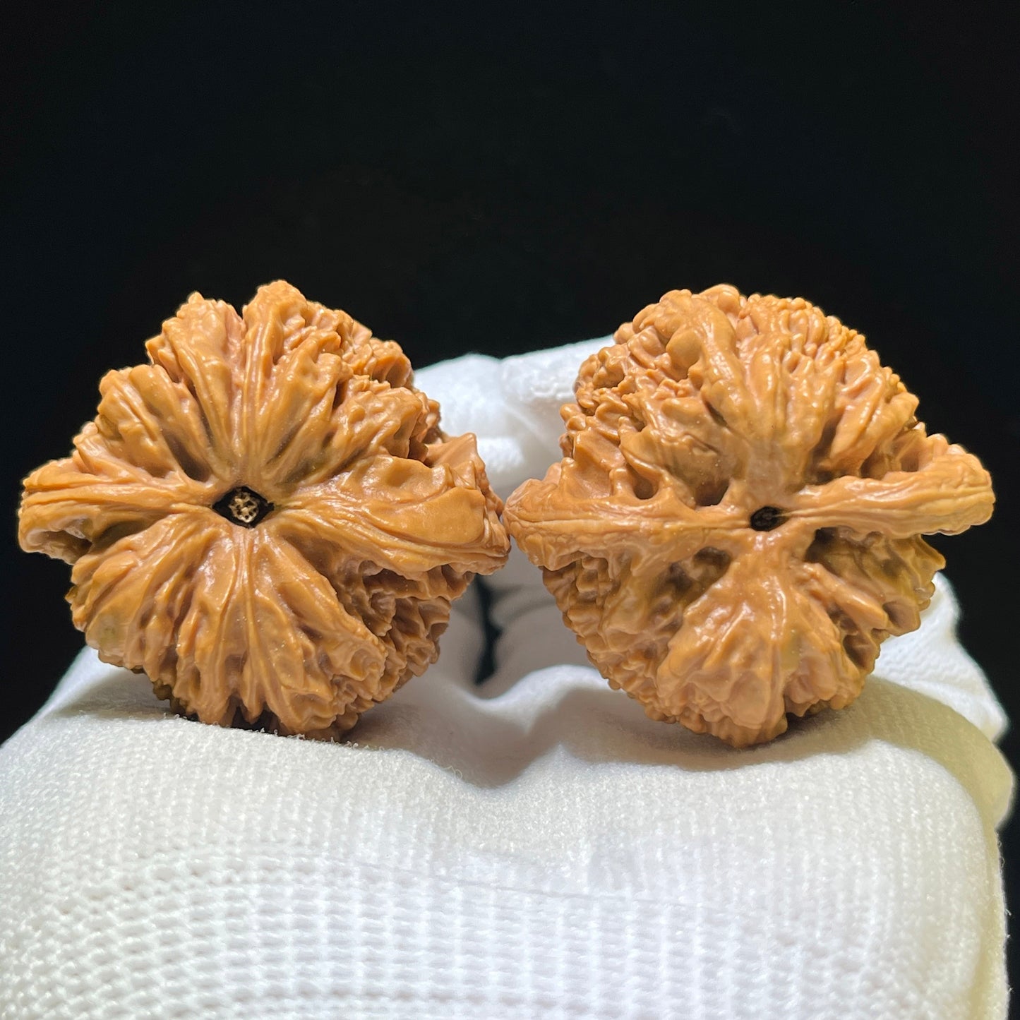 "Nanjiangshi Lionhead" Nanjiangshi NJS-1110 Low-Profile Wenwan Walnuts Pair | 39.0mm x 38.0mm | NJS-1110