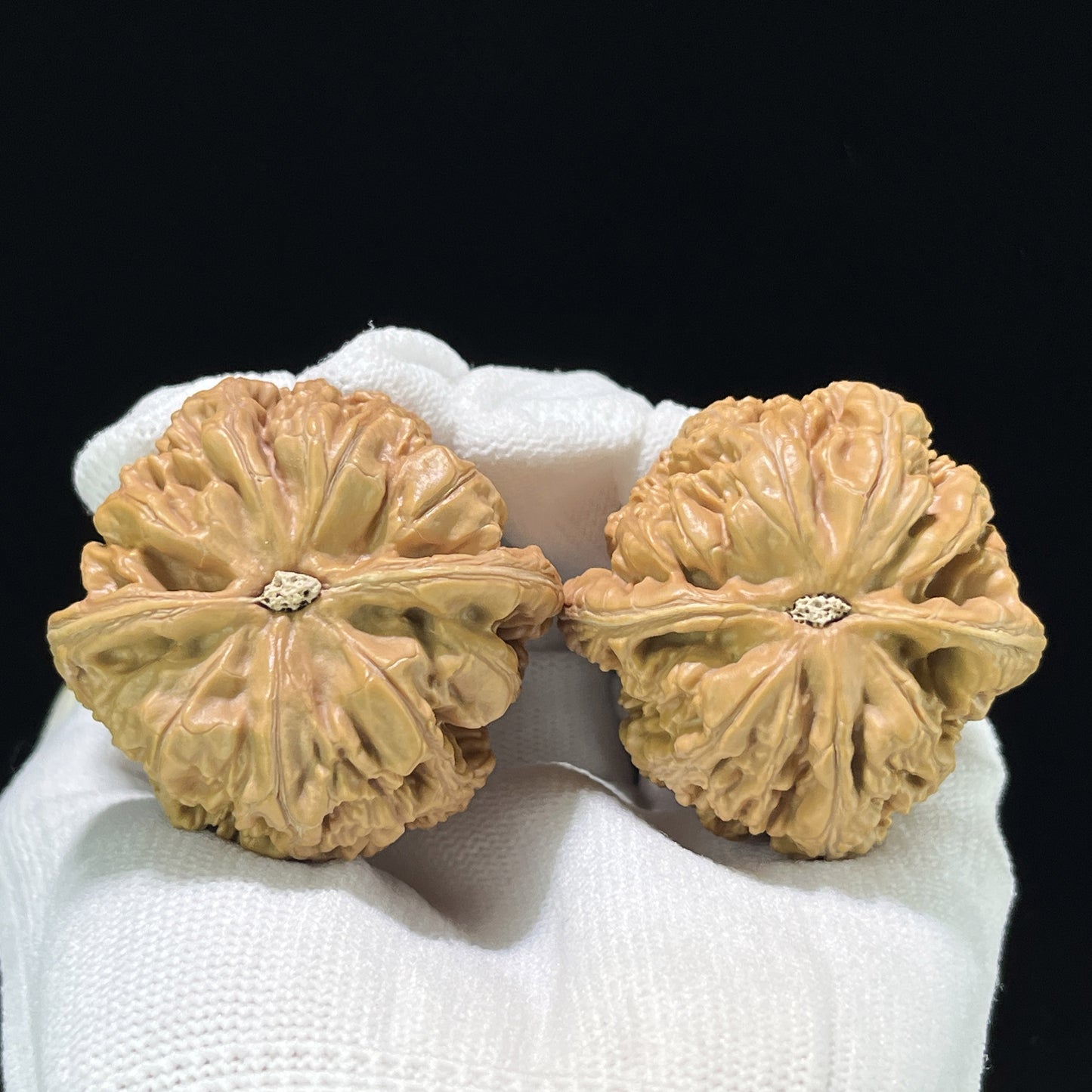 The "Bold Vein" (Cu Jin) Balanced Giant Pair | 43.0mm x 42.0mm | CJ-812