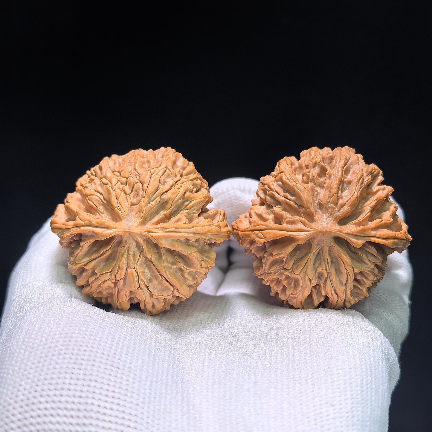 The Premier "Apple Orchard" (Ping Guo Yuan) Ultra-Squat Pair | Boutique Grade | 44.0mm x 37.0mm | PGY-403