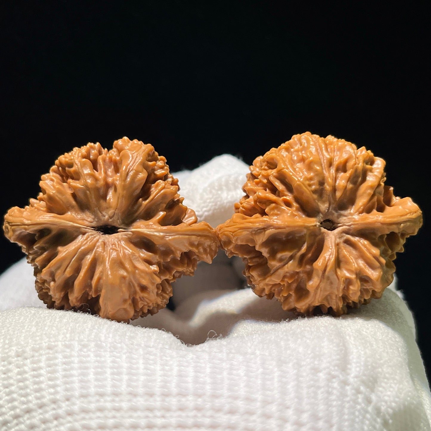 Man Tian Xing (Sky Full of Stars) Scholar Walnuts Pair | 38.0mm x 34.0mm | Stock ID: MTX-1104