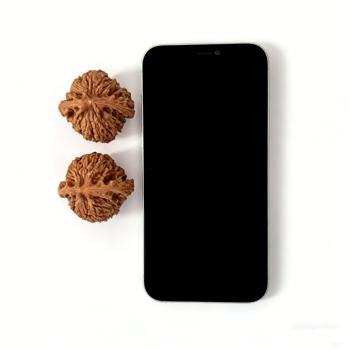 The "Nan Jiang Shi" Lion Head Pair | 41.0mm x 39.0mm | NJS-502