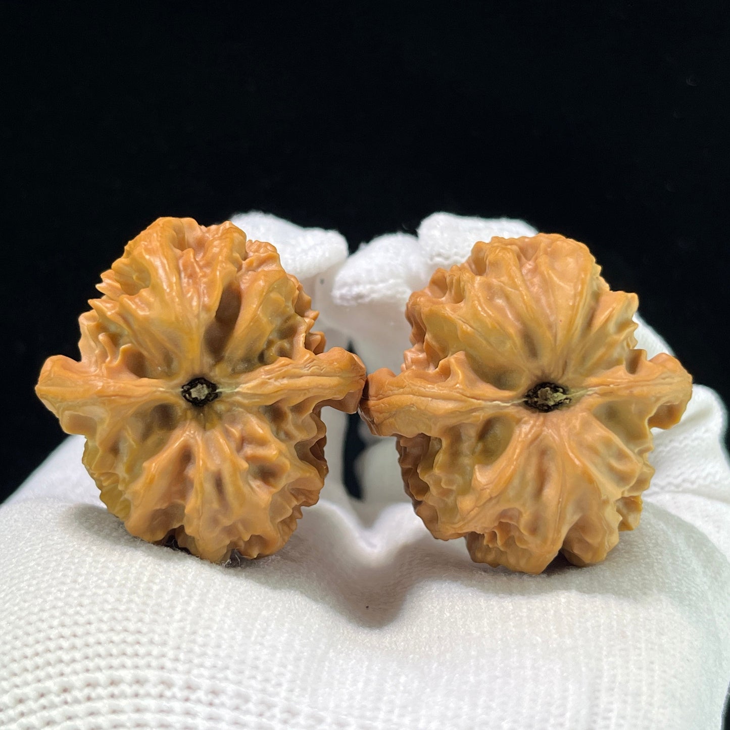 "Cao Dalong" Wenwan Walnuts (CDLTCJ-1001) - 35mm x 37mm "Heavenly Deviant" Wild Mountain Collection, High-Density Collector Specimen, Zen Stress Relief