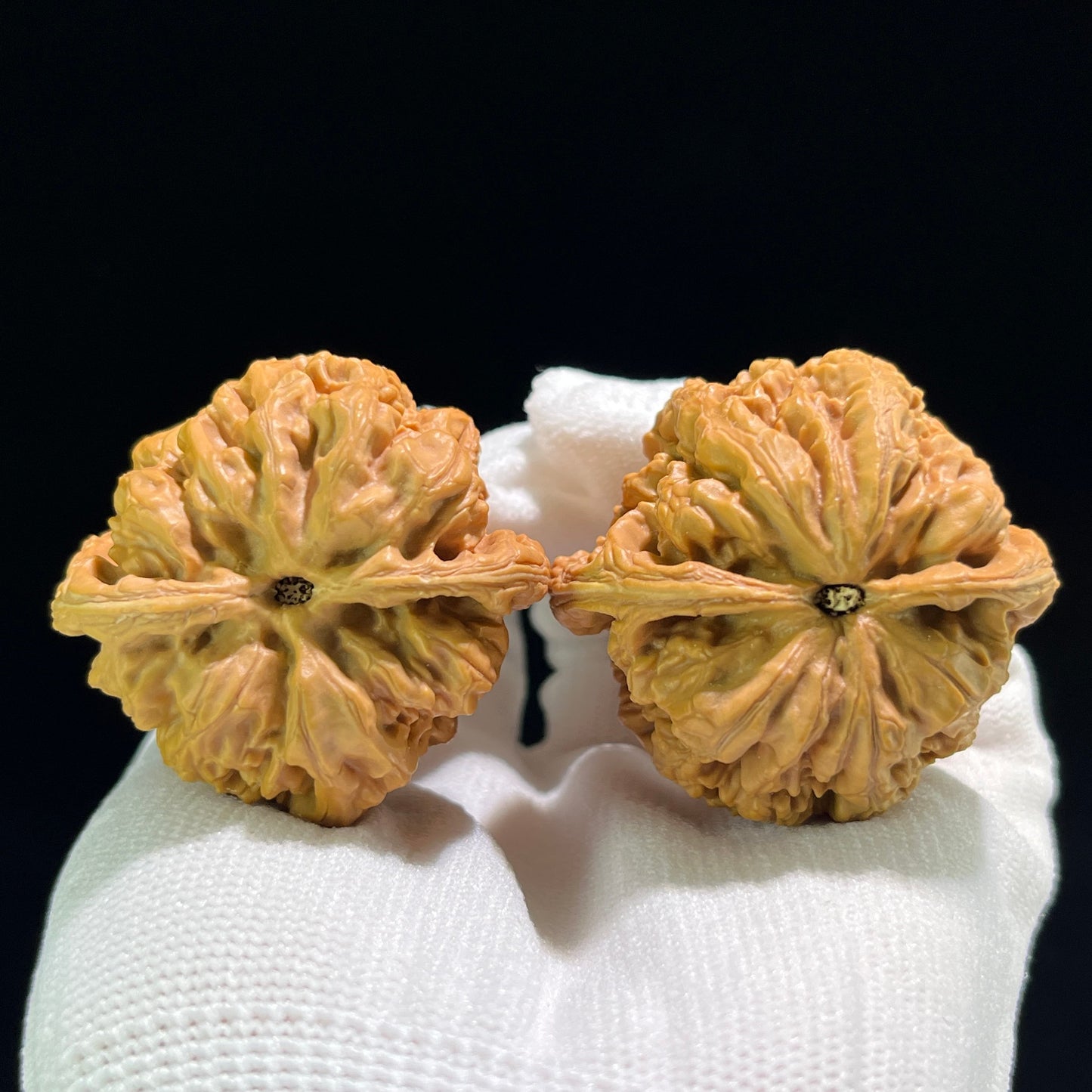 The "General's Shoulders" (Hua Bei Jiang Jun Bang) Balanced Giant Pair | 42.0mm x 41.0mm | HBJJB-801