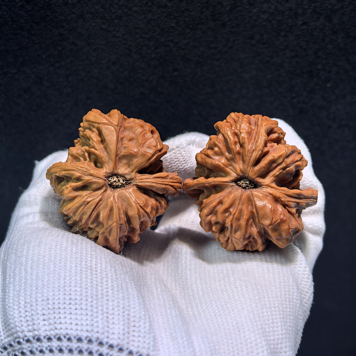 The "Nine Dragons Thick Ridge" (Jiu Long Yu Cu Jin) Pair | 40.0mm x 42.0mm | CJ-401