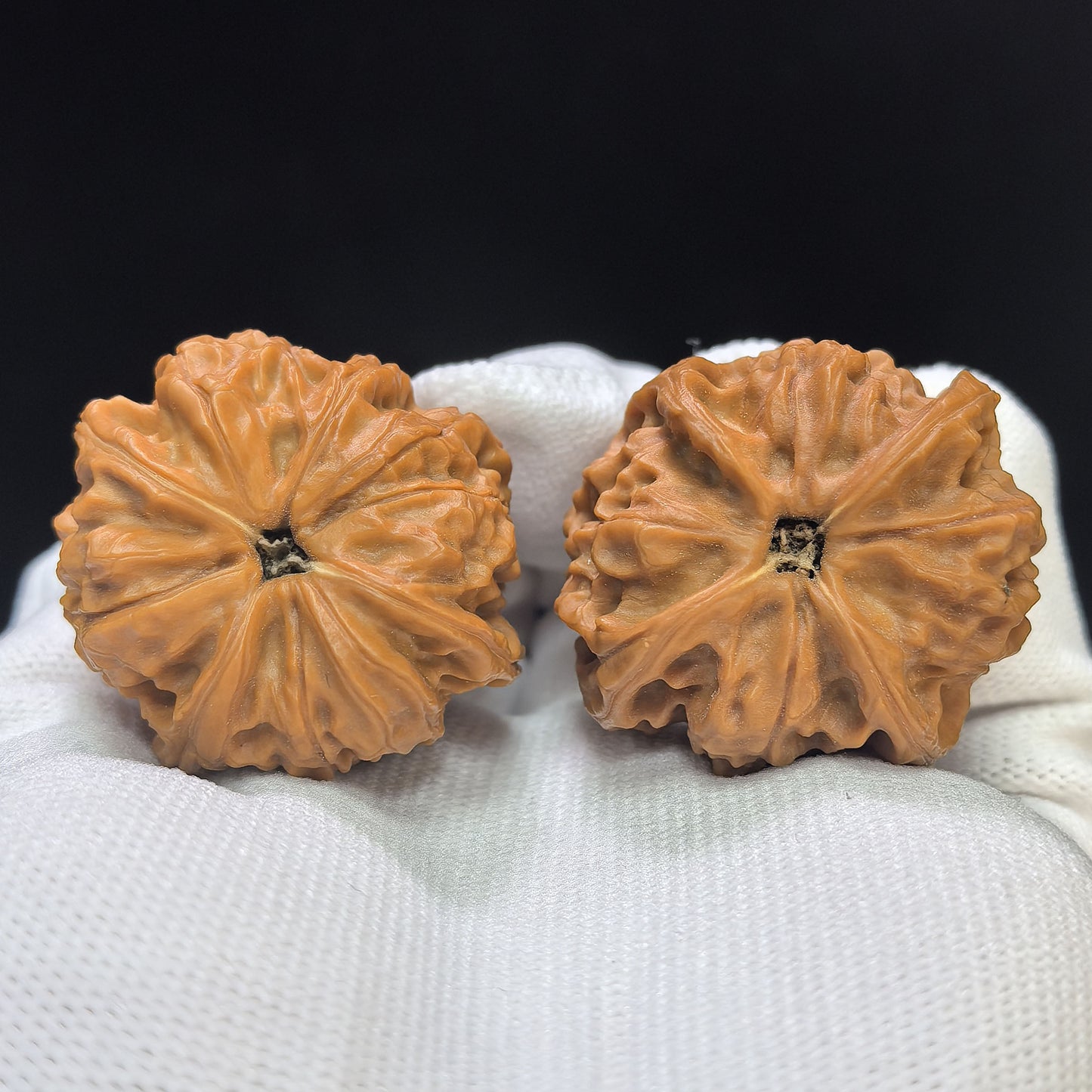 "Imperial Jade Seal X-Men" Yuxi Sileng X-Zhanjing Four-Ribbed Wenwan Walnuts Pair | 36.0mm x 39.0mm | YSFN-C228E