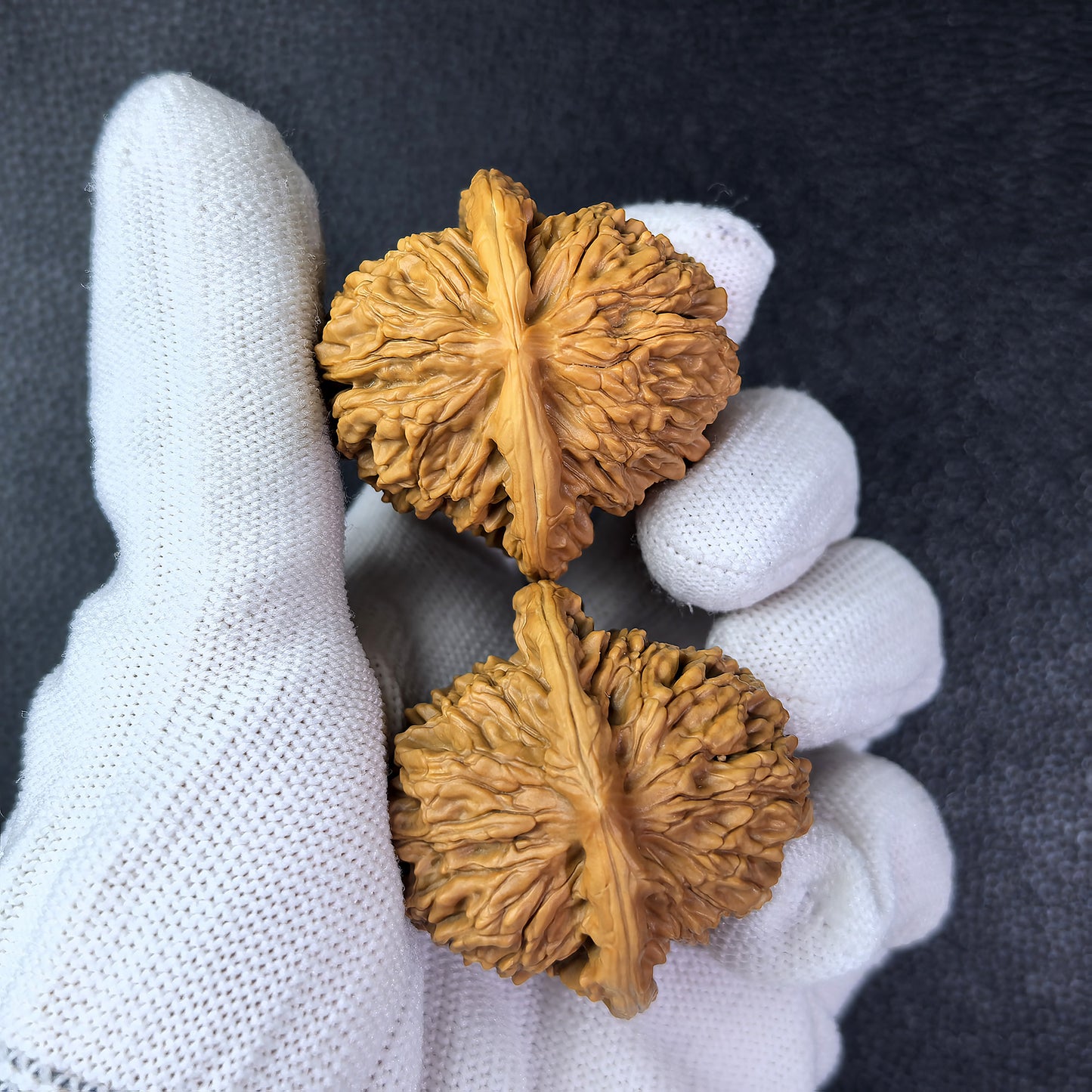 The "Si Zuo Lou" Lion Head Pair | 41.0mm x 41.0mm | SZL-1008