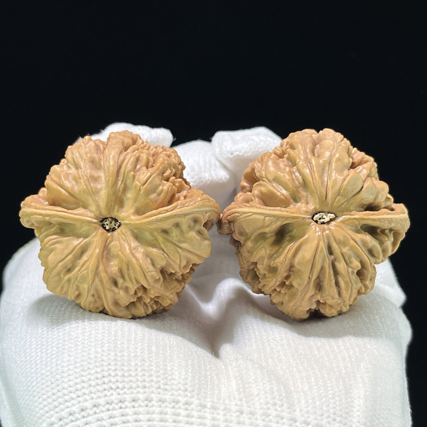 The "Thick Vein" (Cu Jin) Balanced Giant Pair | 40.0mm x 39.0mm | CJ-811