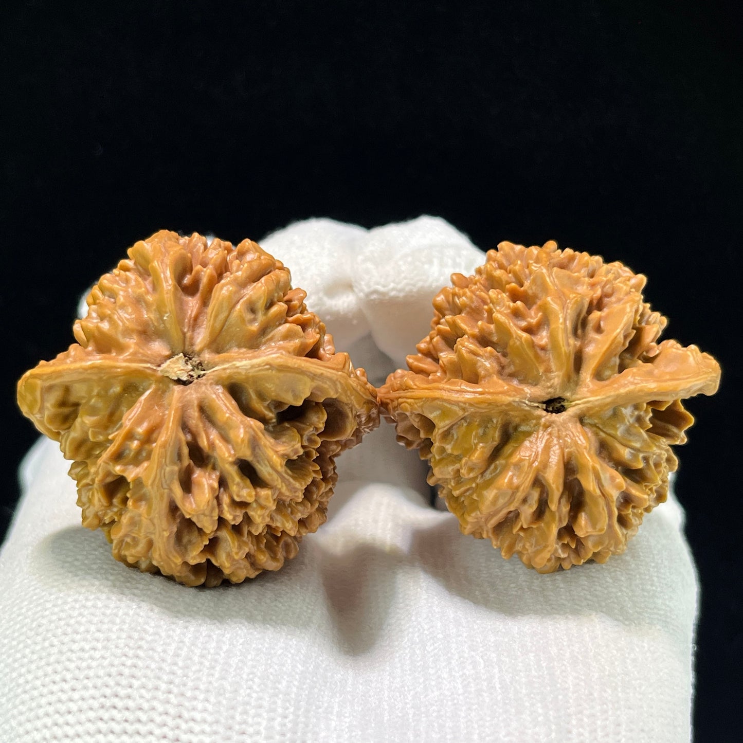 The "Starry Sky" (Man Tian Xing) Premium Symmetrical Pair | 38.0mm x 38.0mm | MTX-1008