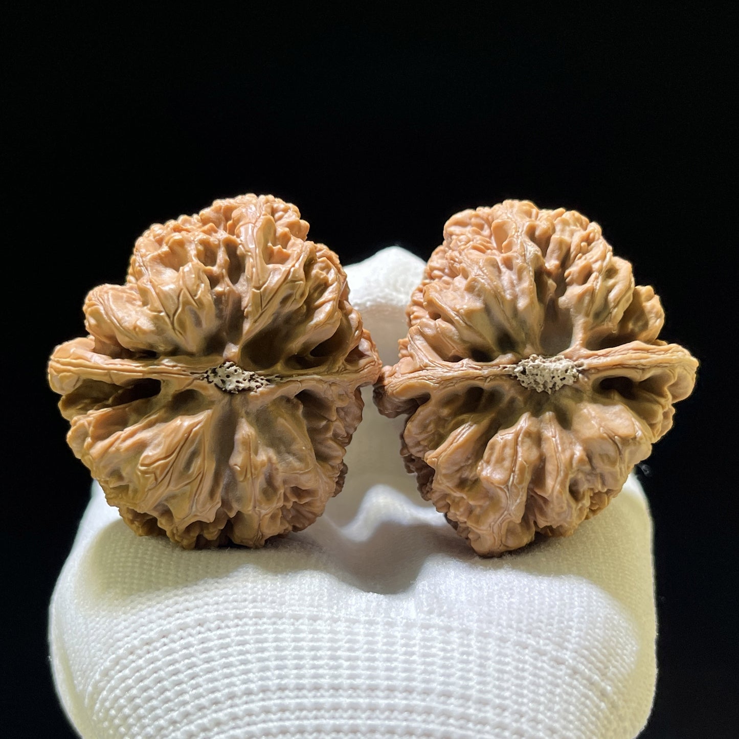 The "Thick Vein" (Da Cu Jin) Colossal Deep-Bellied Giant | 44.0mm x 48.0mm | DCJ-901