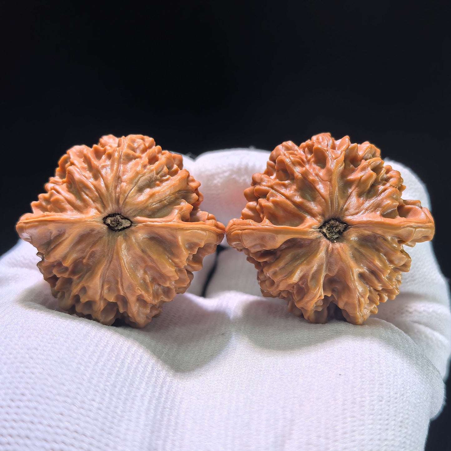 The "Qin Men Lion Head" Perfectly Balanced Boutique Pair | 39.0mm x 37.0mm | QM-1202C