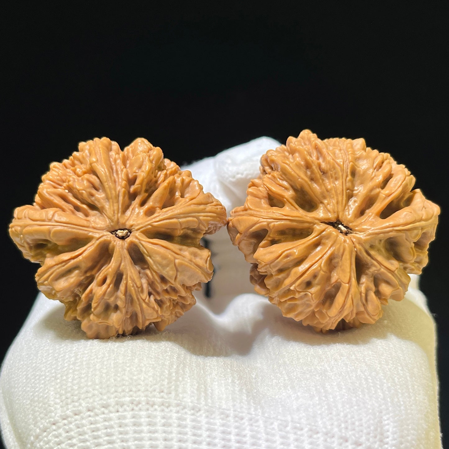The Spectacular "Blizzard" Baixue Collector Pair | 40.0mm x 38.0mm | BX-1105