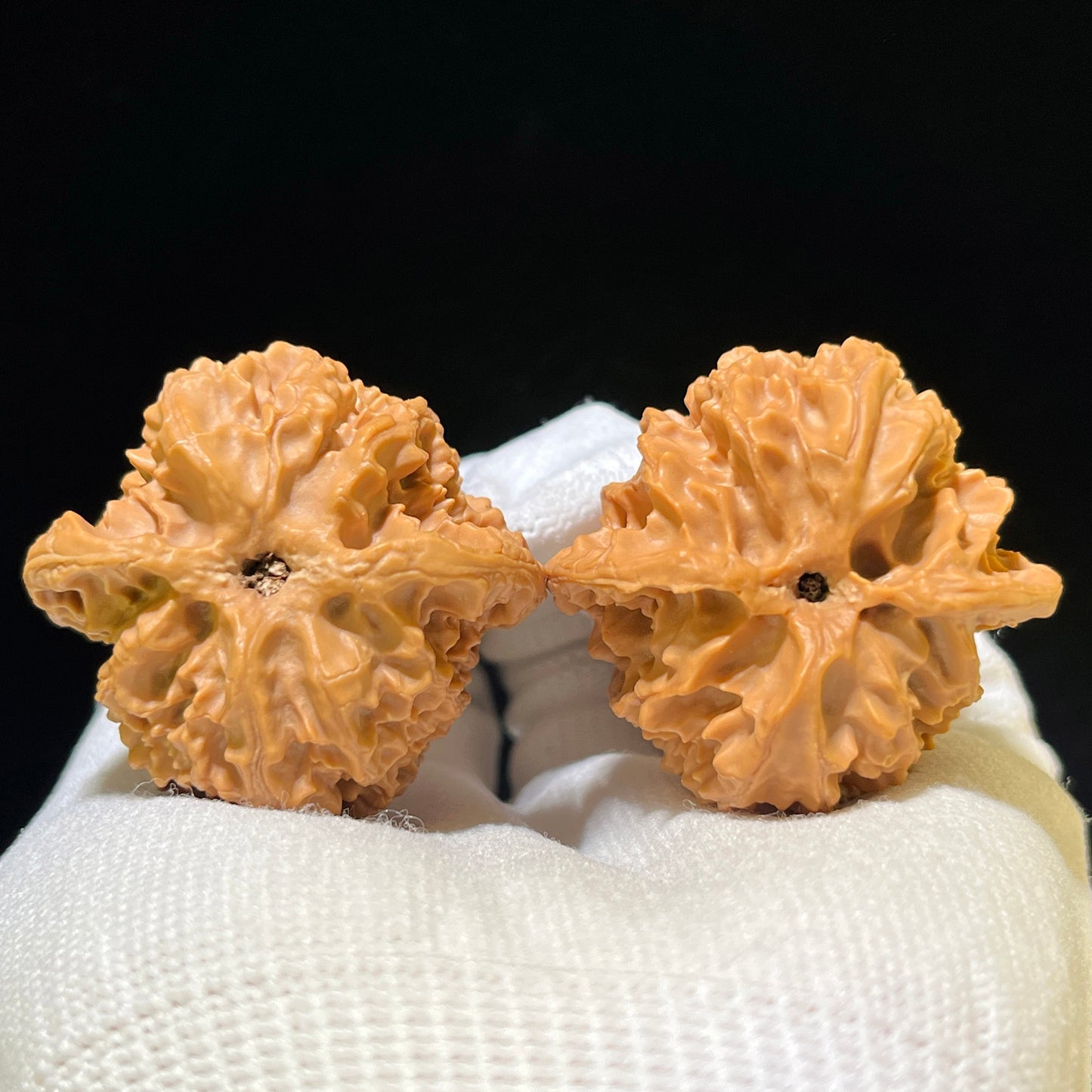 "Apple Orchard Lionhead" Pingguoyuan PGY-1107 Low-Profile Wenwan Walnuts Pair | 39.0mm x 37.0mm | PGY-1107