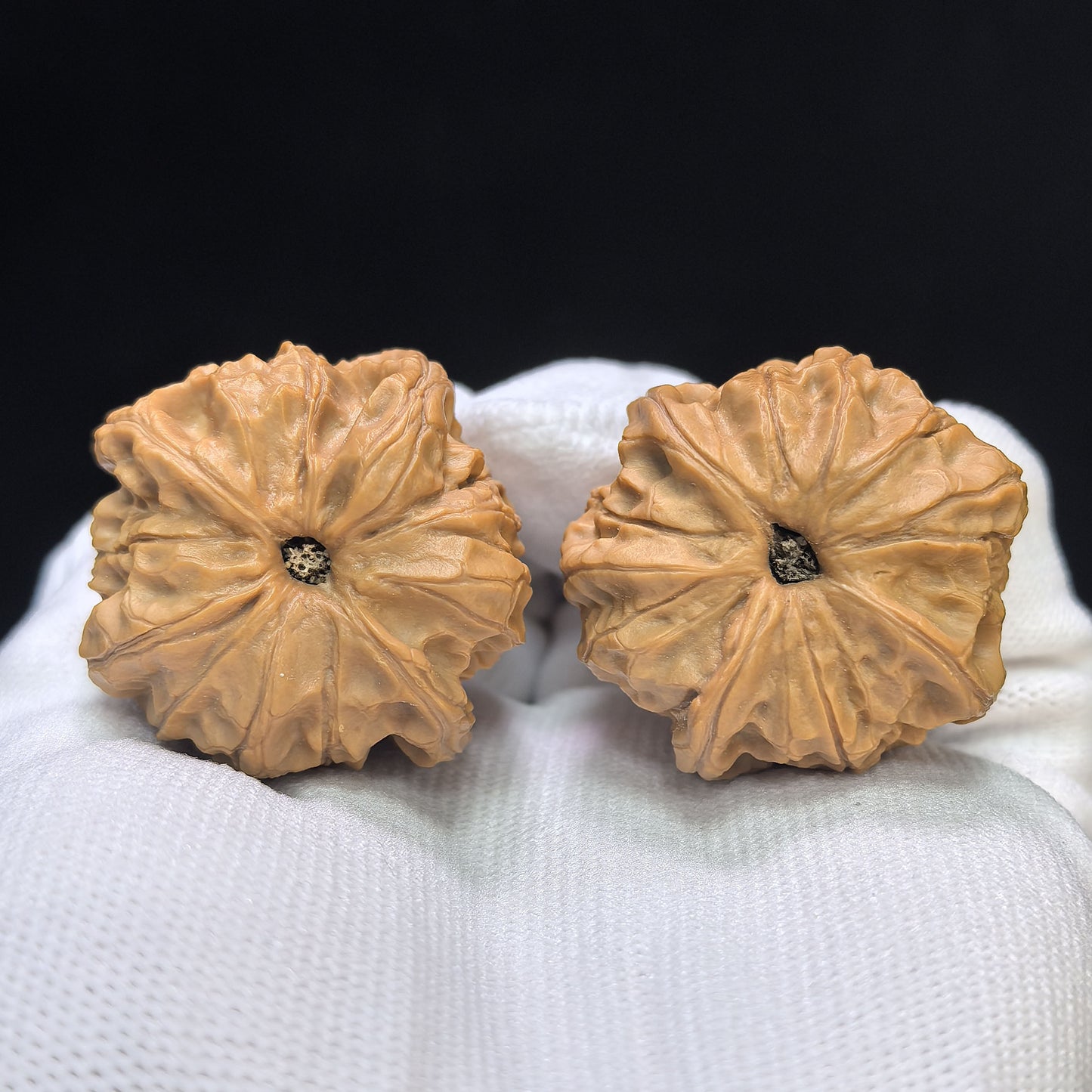 "Imperial Jade Seal X-Men" Yuxi Sileng X-Zhanjing Four-Ribbed Wenwan Walnuts Pair | 36.0mm x 38.0mm | YSFN-C2210E
