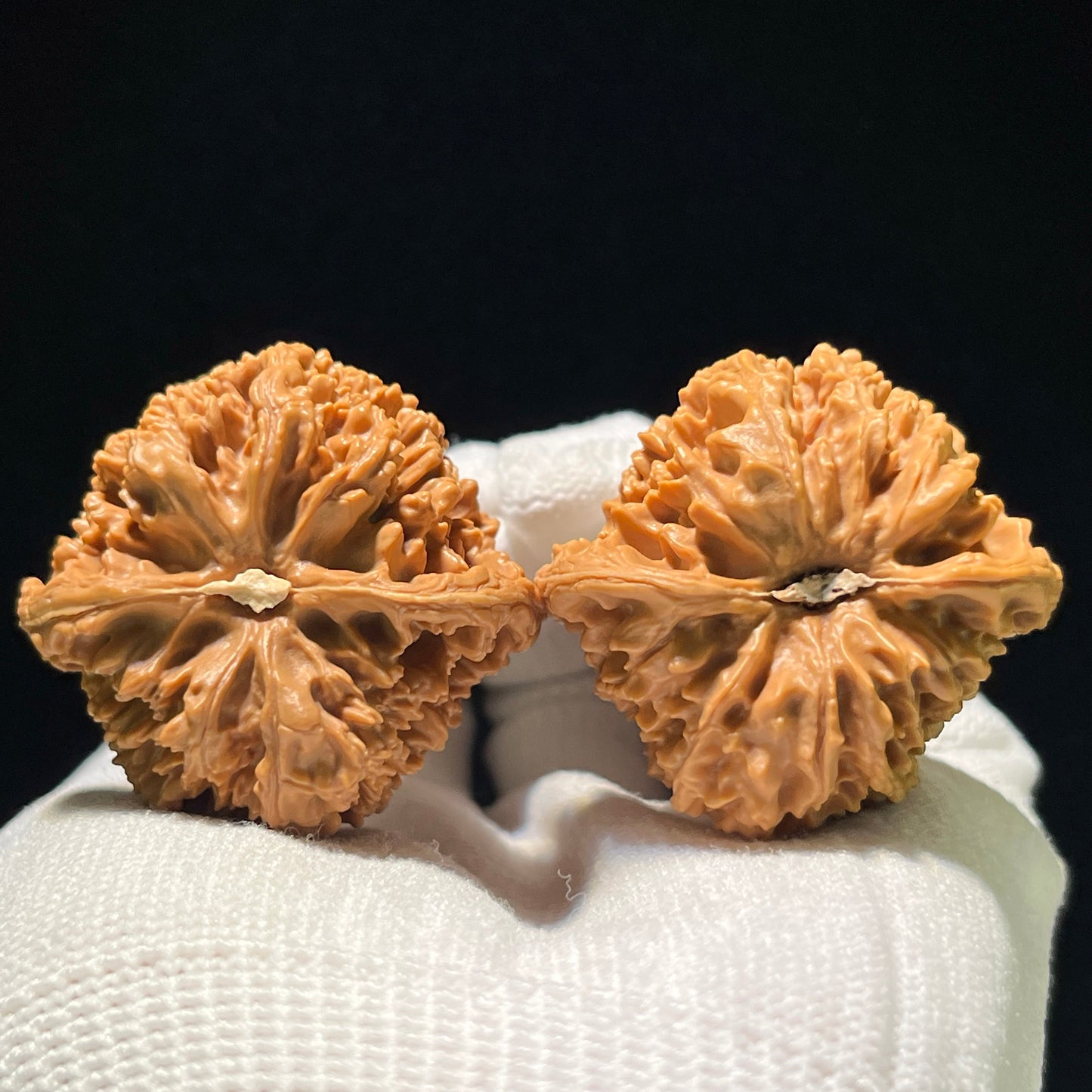 The "Wild Bison" (Ye Niu) Select Deep-Belly Pair | 38.0mm x 39.0mm | Compact Shou Nian Format | YN-1103