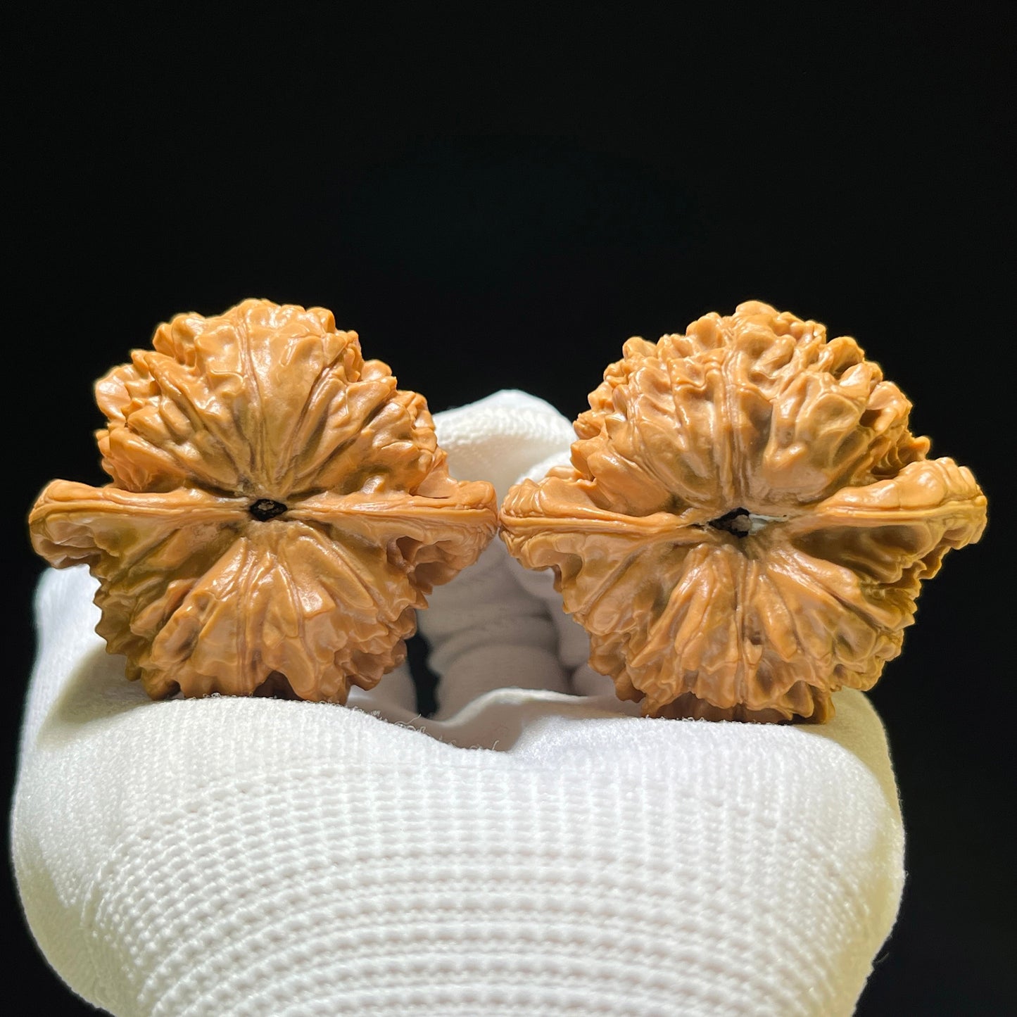 "Wang Yong Big Official Hat" Wang Yong Da Guanmao Wenwan Walnuts Pair | 50.0mm x 44.0mm | DGM-1107