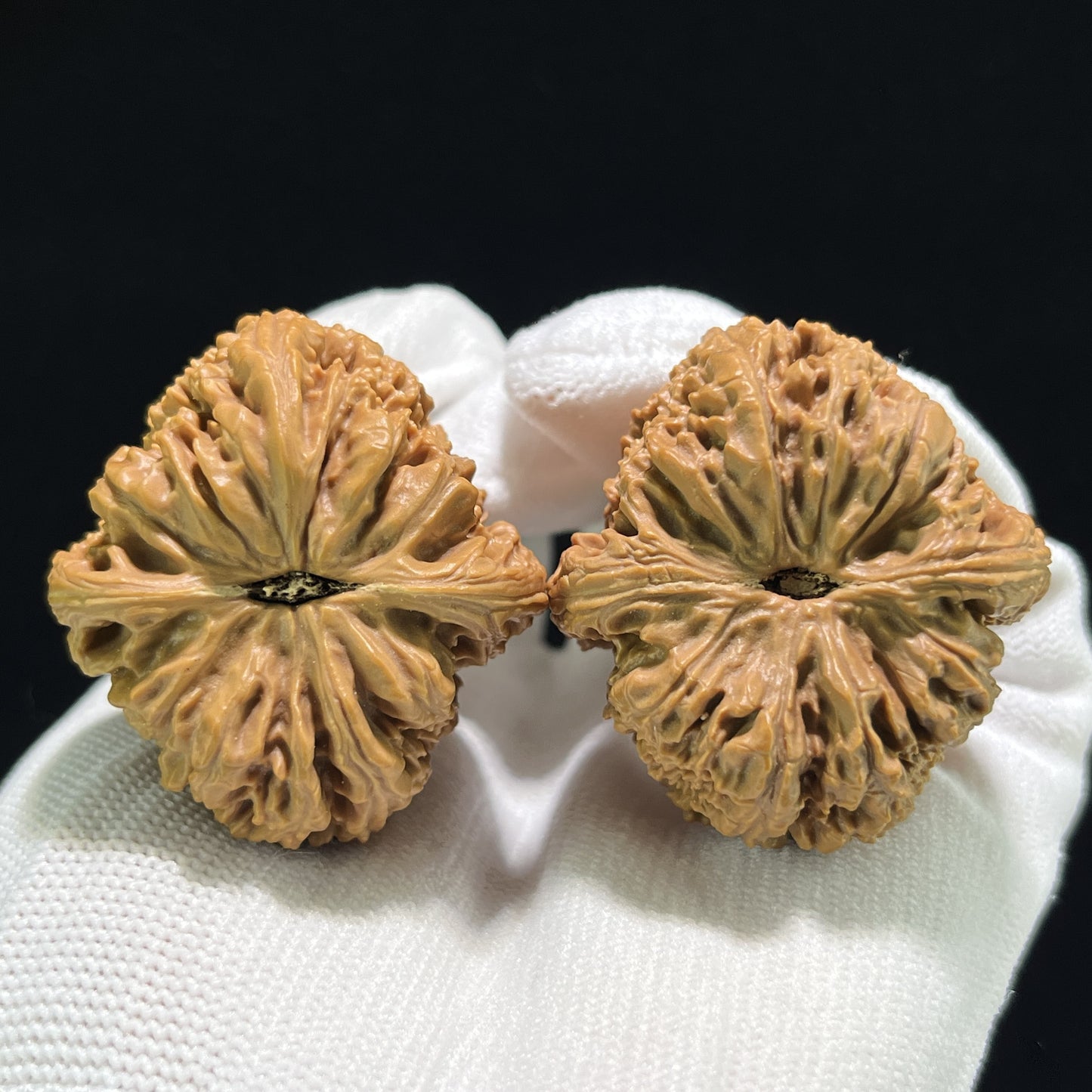 The "Nanjiang Stone" (Nan Jiang Shi) Deep-Bellied EDC Pair | 37.0mm x 39.0mm | NJS-904
