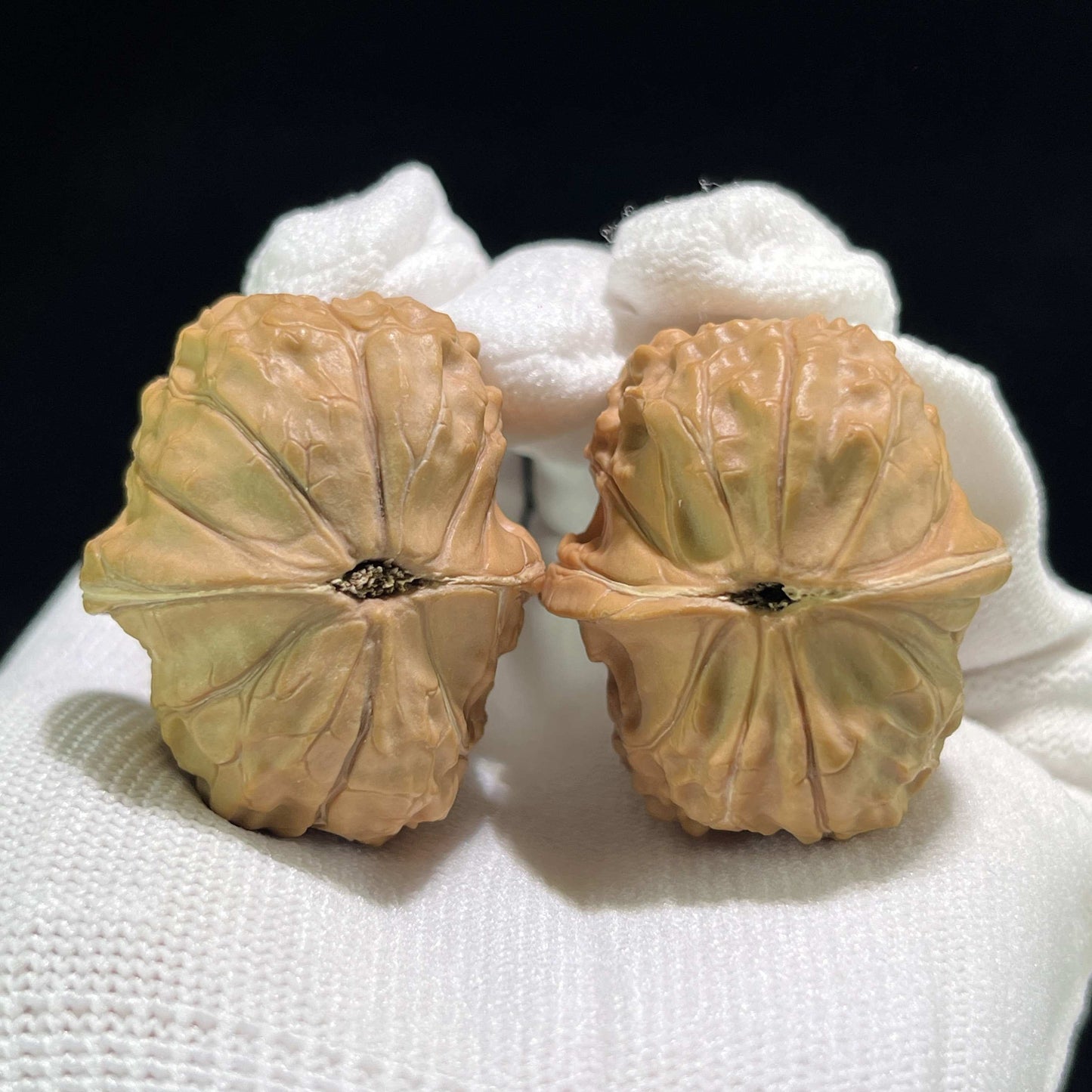 The "Tortoise Shell" (Gui Jia Wen) Full-Bellied Pocket Pair | 32.0mm x 37.0mm | GUI-801