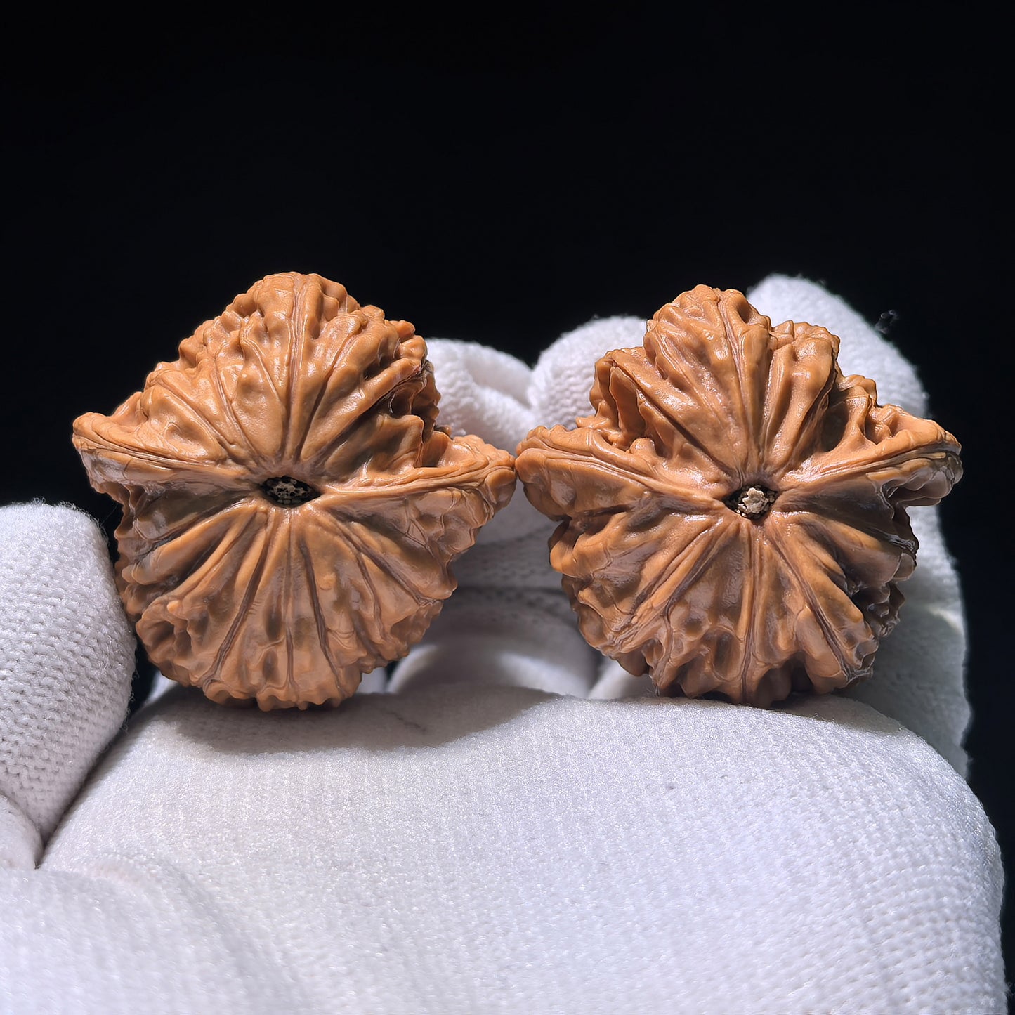 The "Millstone Flying Snake" (Mo Pan Fei She) Matched Pair | 37.0mm x 36.0mm | MOFS-1201E