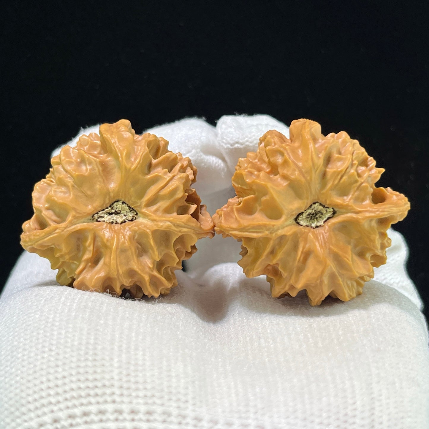 The "Qishan Four-Ribbed" (Qi Shan Si Leng) Rare Mutation Pair | 36.0mm x 34.0mm | Compact Shou Nian Format | QSSL-1003