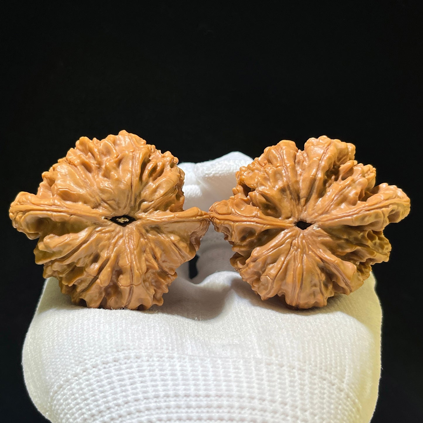 Guanmao (Official Hat) Scholar Walnuts Pair | Grand 51.0mm x 45.0mm | Stock ID: DGM-1101