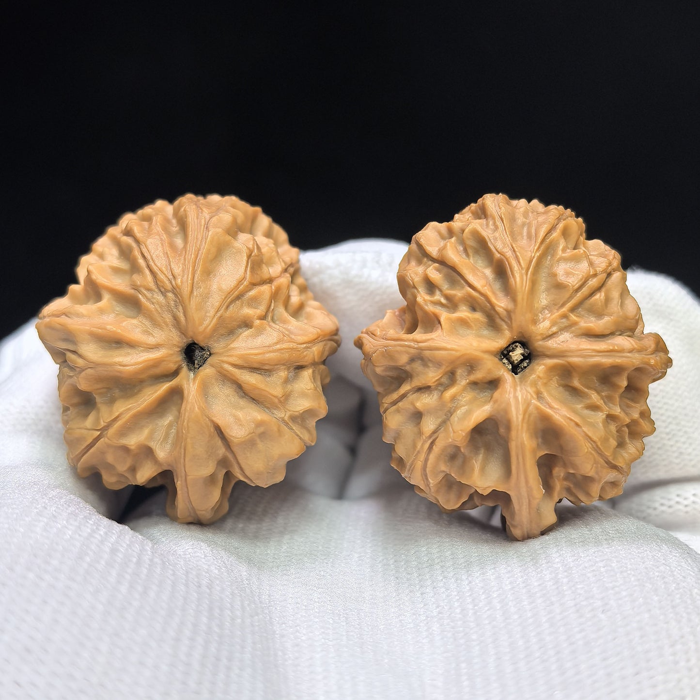 "Imperial Jade Seal Three-Ribbed" Yuxi Sanleng Multi-Ribbed Wenwan Walnuts Pair | 34.0mm x 37.0mm | YSSN-C225E