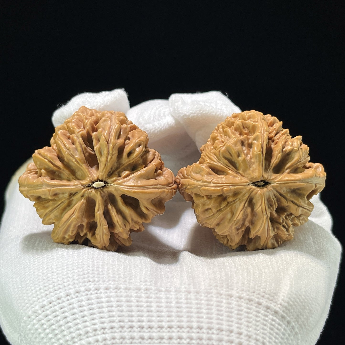 The "Blizzard" (Bao Xue) Ergonomic Giant Pair | 42.0mm x 40.0mm | BX-804