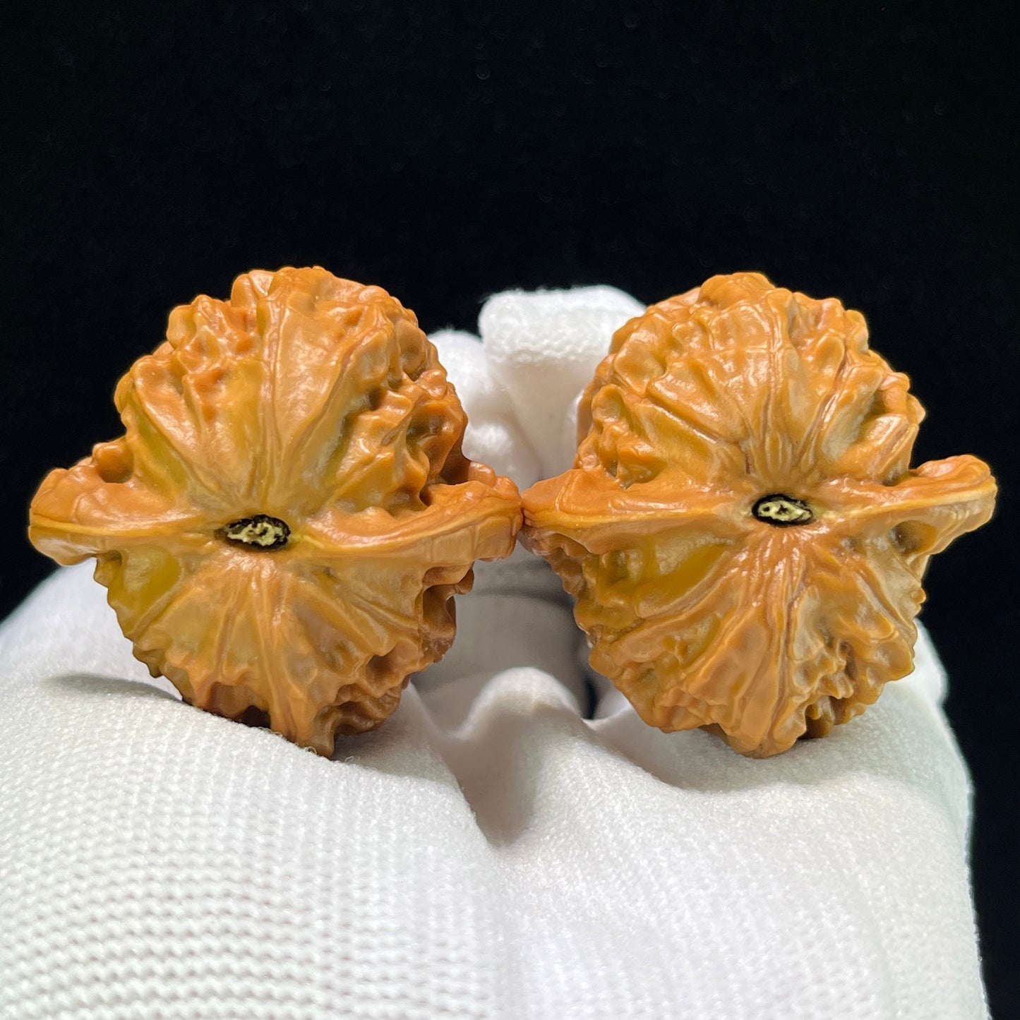 The Exquisite "Tutu" Boutique Selection Wenwan Walnuts | 38.0mm x 38.0mm | TT-1002