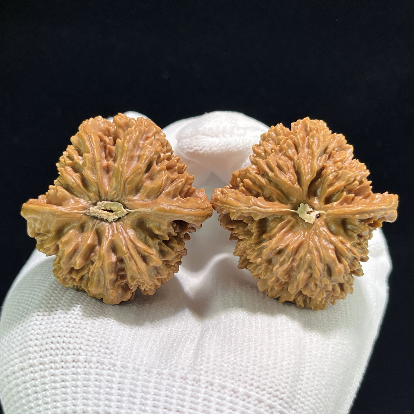The "Starry Sky" (Man Tian Xing) Full-Bellied Giant Pair | 40.0mm x 41.0mm | MTX-903